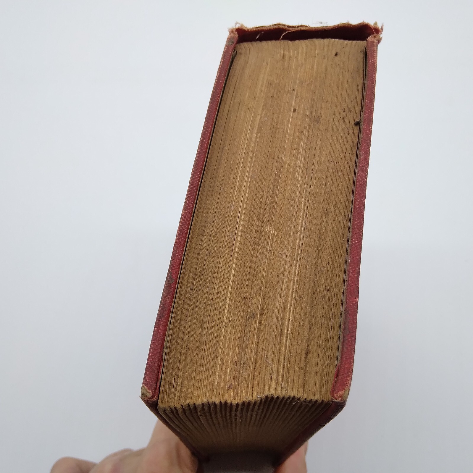 MADELINE PAYNE, THE DETECTIVES DAUGHTER by Lawrence L. Lynch 1885 HC Rare
