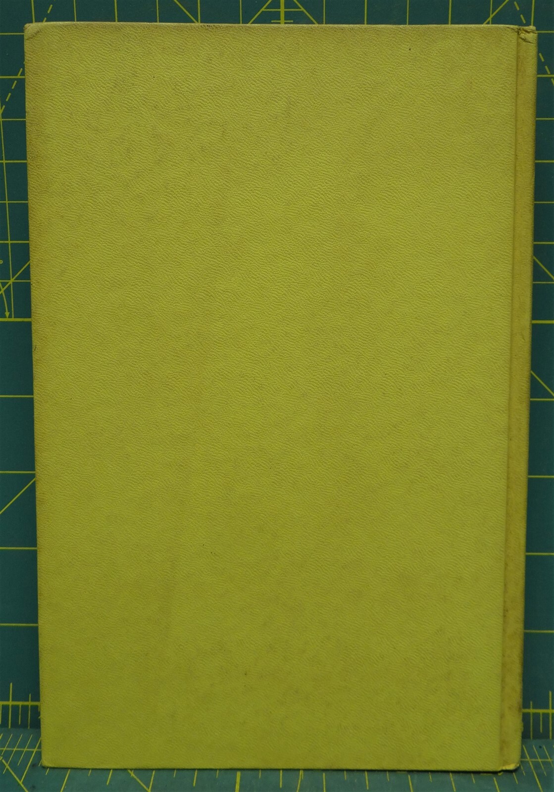 Summer Doctor by Charles H. Knickerbocker, 1963, Hardcover, 252 Pages