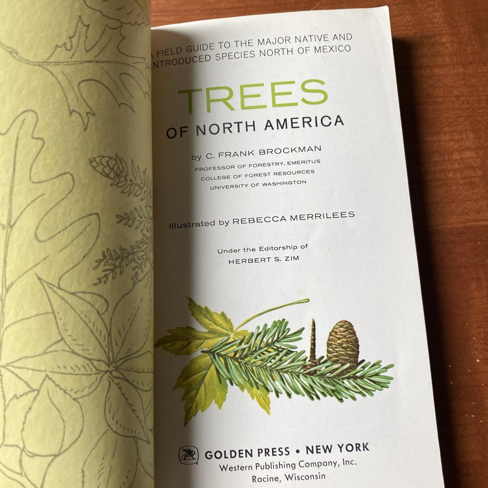 Guide to Field Identification Birds North America Golden Field Guide 1966 Trees