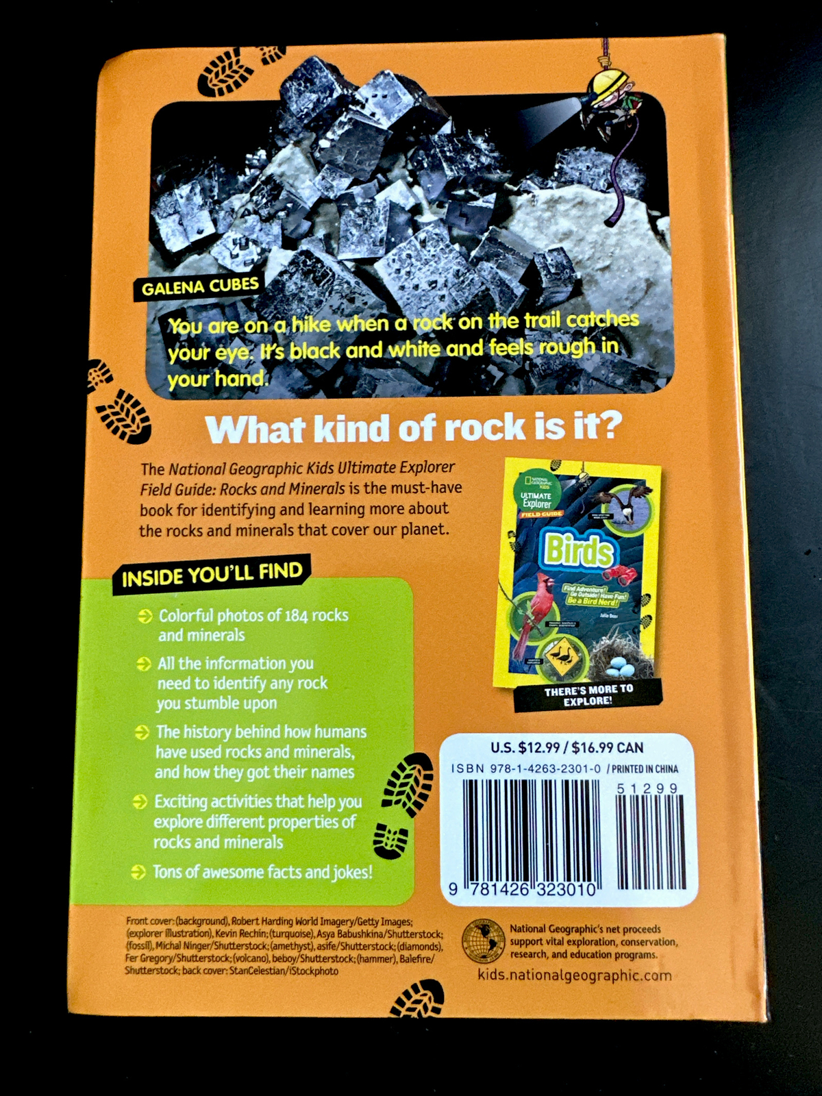 Ultimate Explorer Field Guide: Rocks and Minerals by Nancy Honovich (2016)
