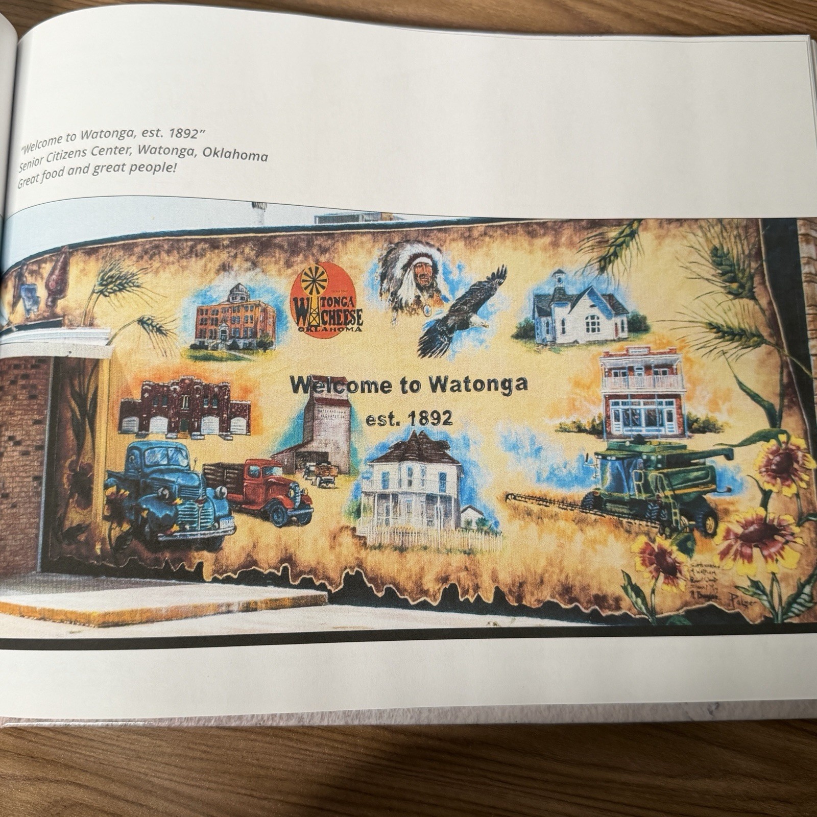 SIGNED Painting Oklahoma and Beyond Dr. Bob Palmer Mural Artist Hardback 2020
