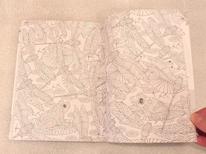 New! Blossoms And Butterflies, Color Your World (Jane Heyes) intricate coloring