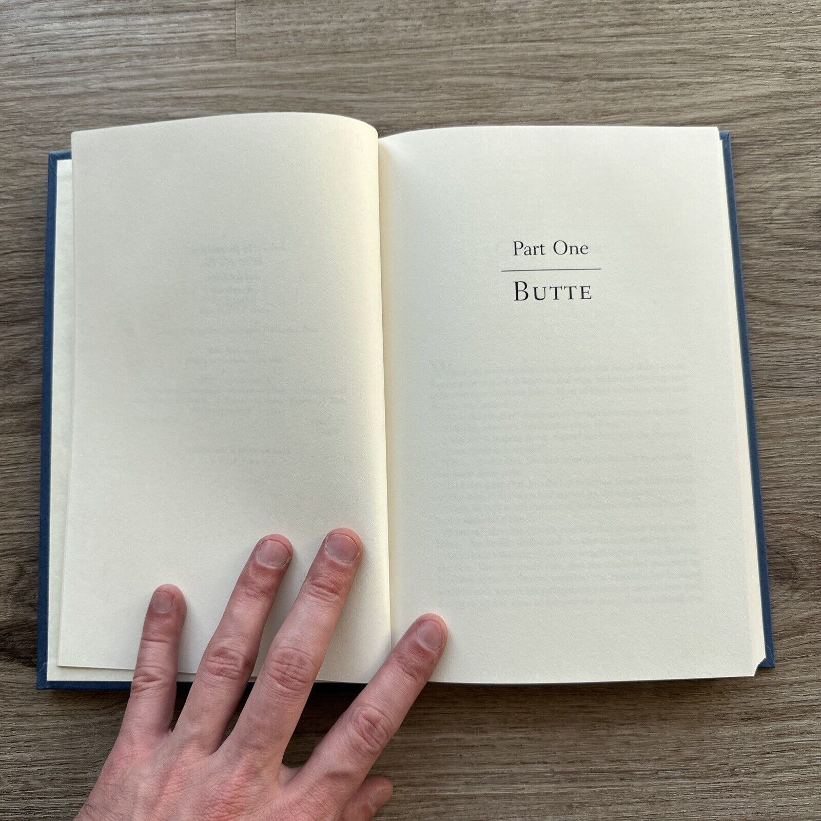 Maybe in Missoula by Toni Volk (1994, Hardcover) First Edtion