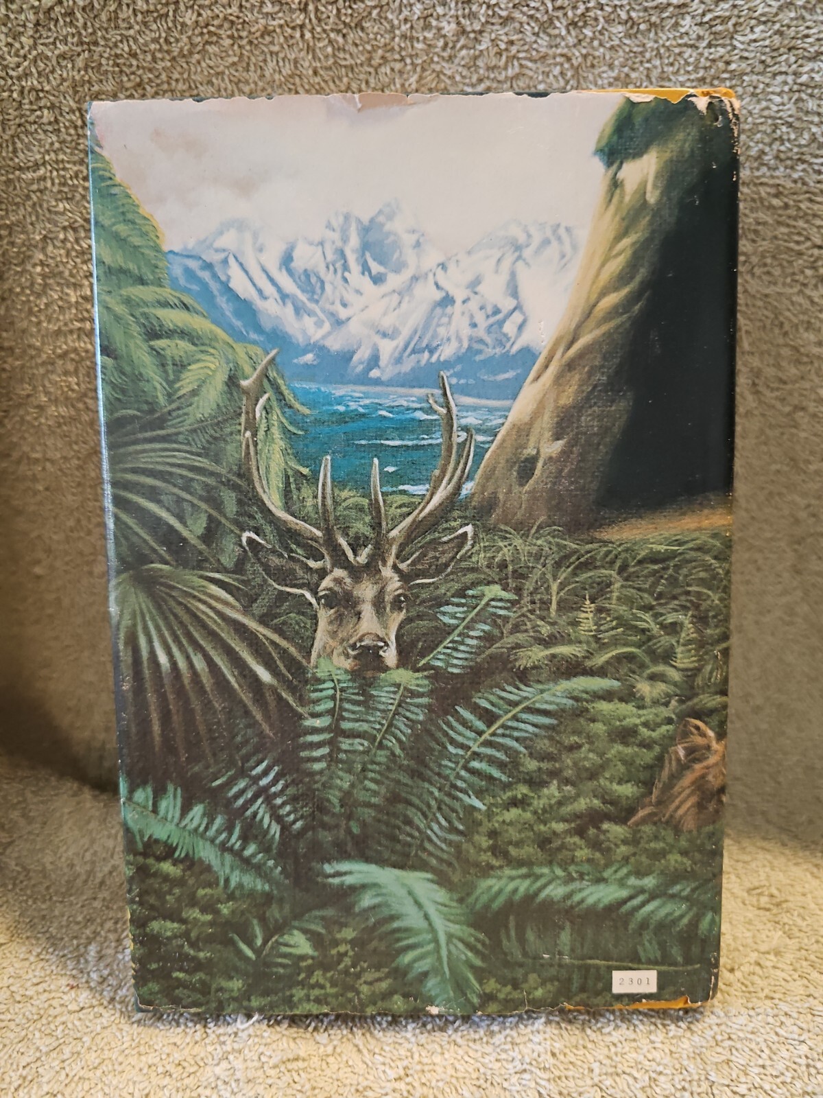 Clan Of The Cave Bear Jean M. Auel, First Edition, First Print HC, Vintage 1980