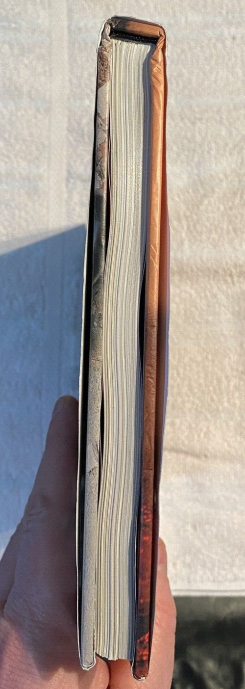 Private Passion Luis Durante Nude Photography Hardcover OOP Rare