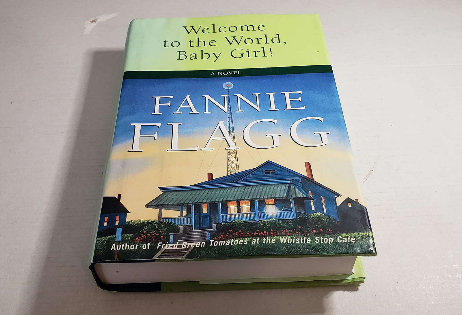 Welcome to the World, Baby Girl!: A Novel – hardcover Flagg, Fannie