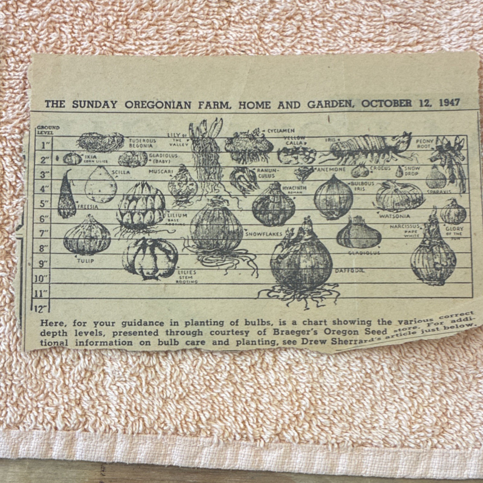 Vintage 1940 Sunset’s Popular Flower Book + 1947 Portland Oregon Garden Ephemera
