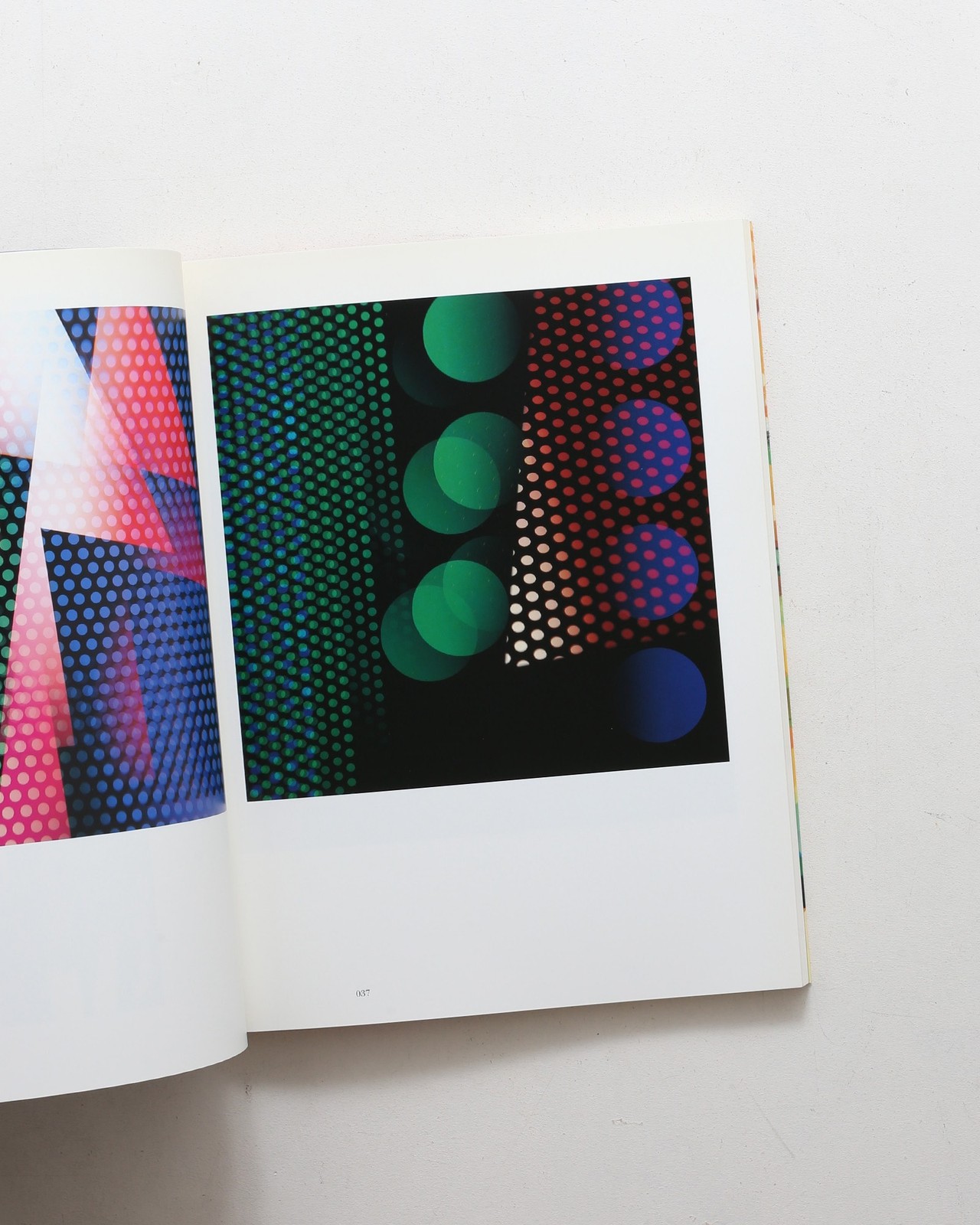 Ishimoto Yasuhiro Iro to Katachi Photography Flowers Photo Book Hardcover
