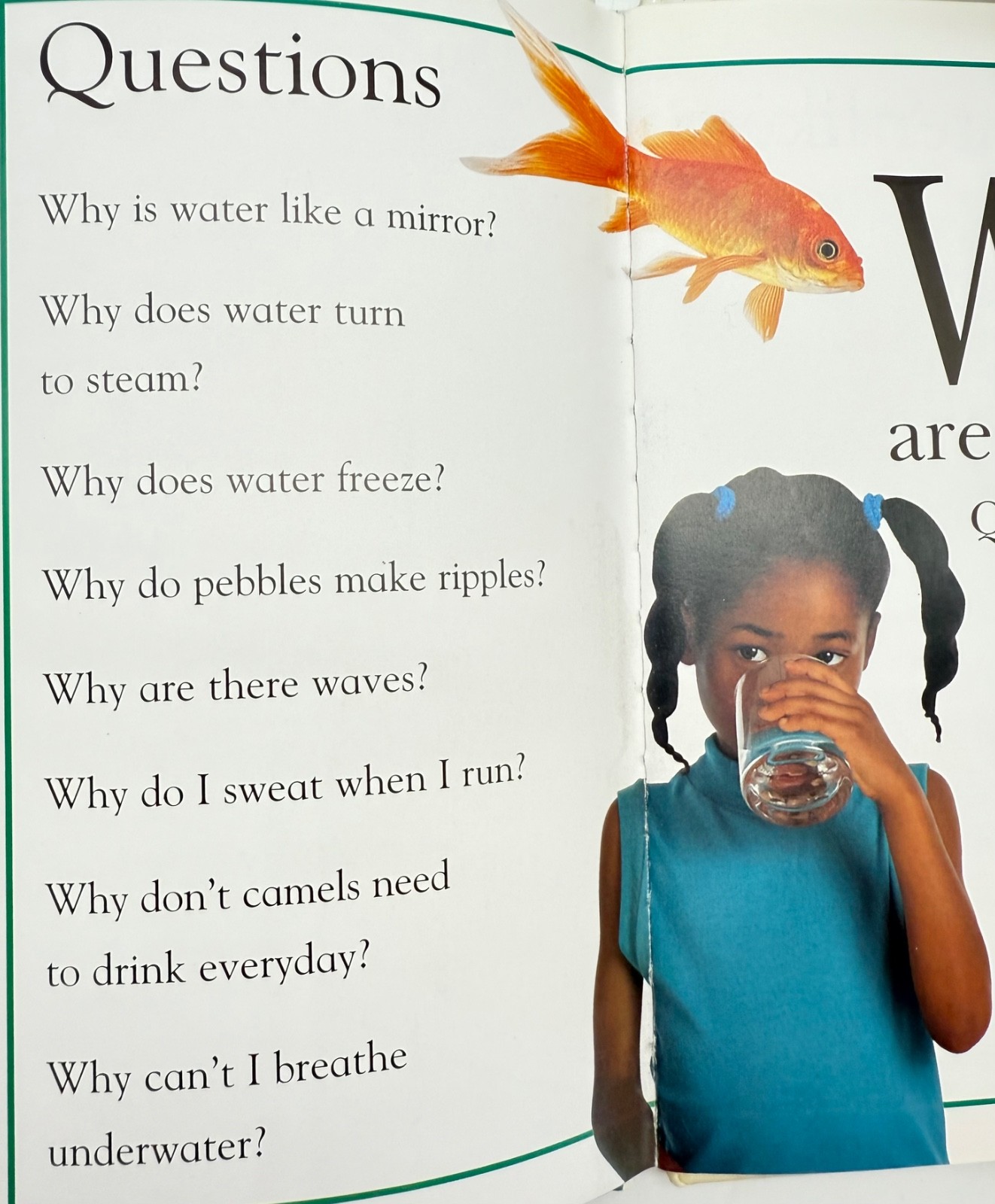 Set of 2~ Why? Questions Children Ask Children Books Series DK Publishing