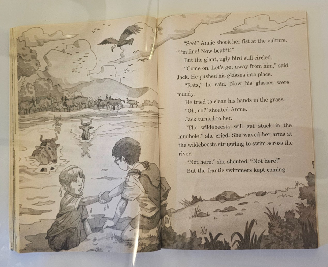Mary Pope Osborne Magic Tree House 11 Lions at Lunchtime 1998 Book FLC