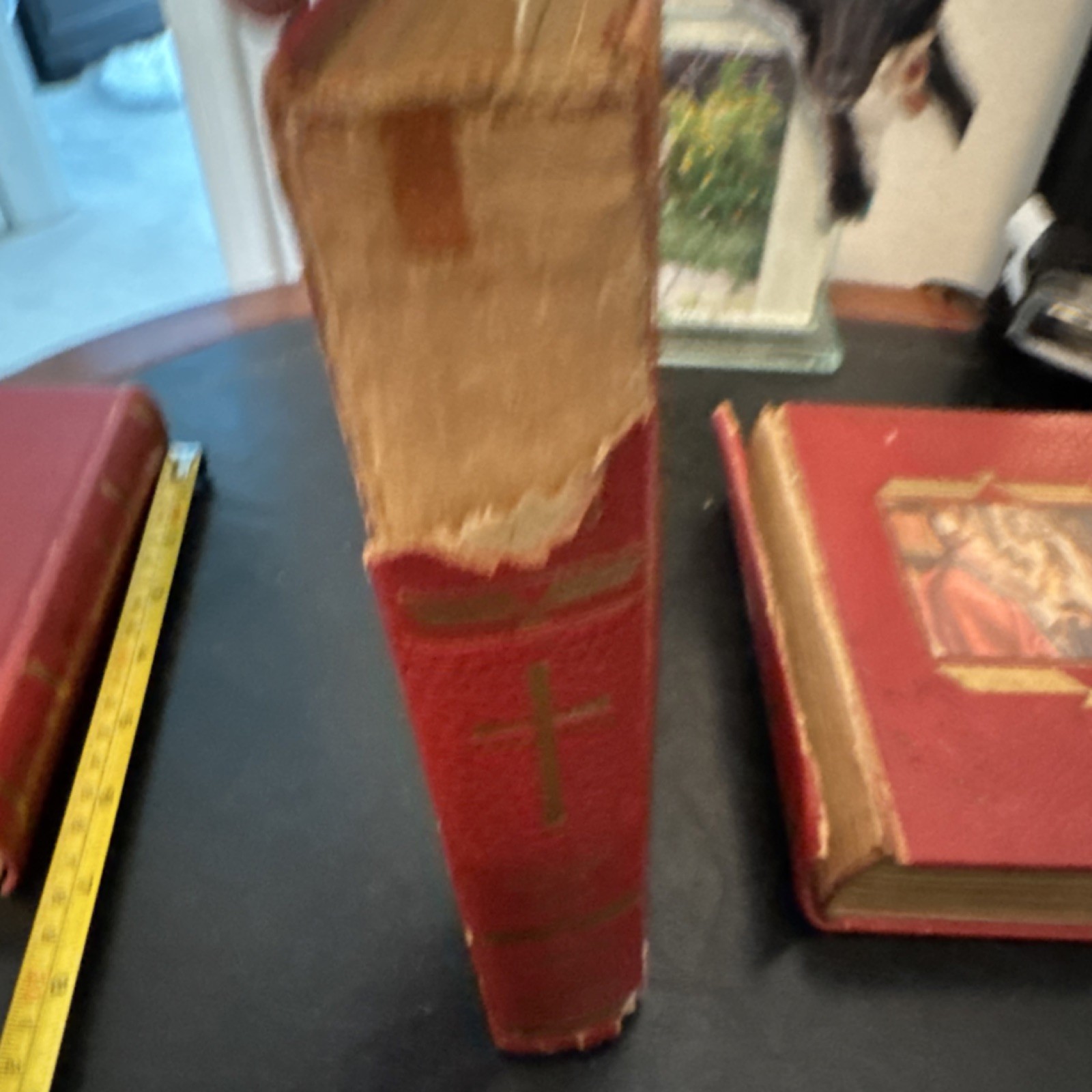 The Catholic Press The Lives of the Saints Michael Garicoïts 1962 Illustrated HC