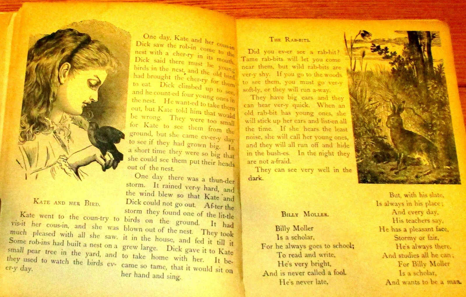 Pet’s Picture Book With Pretty Stories 1897 Little Tots Series H/C 34 pages