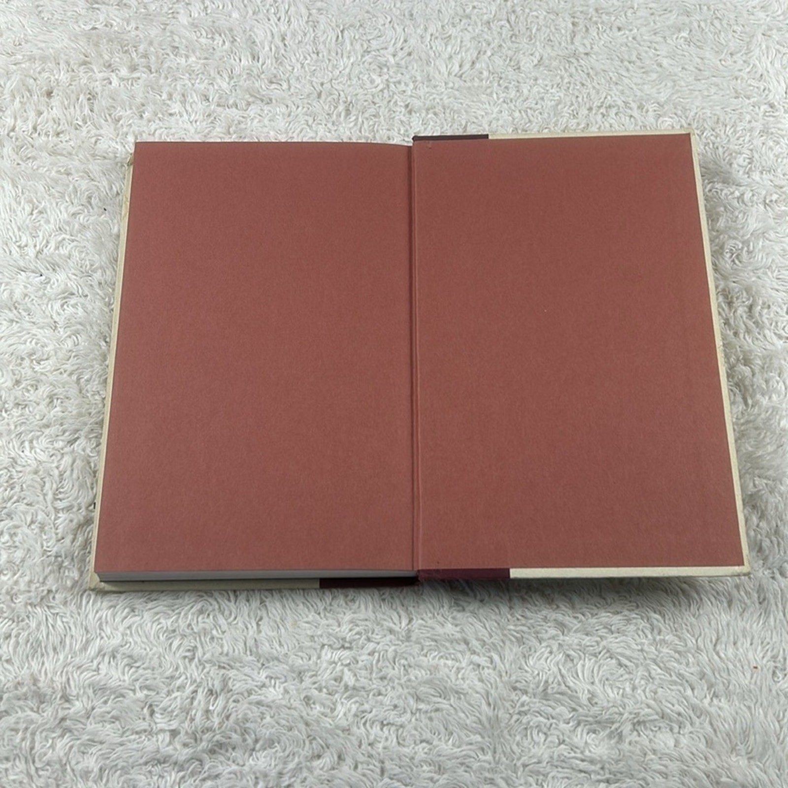 Bundle Jules Feiffer novels – The Man in the Ceiling and A Room with a Zoo