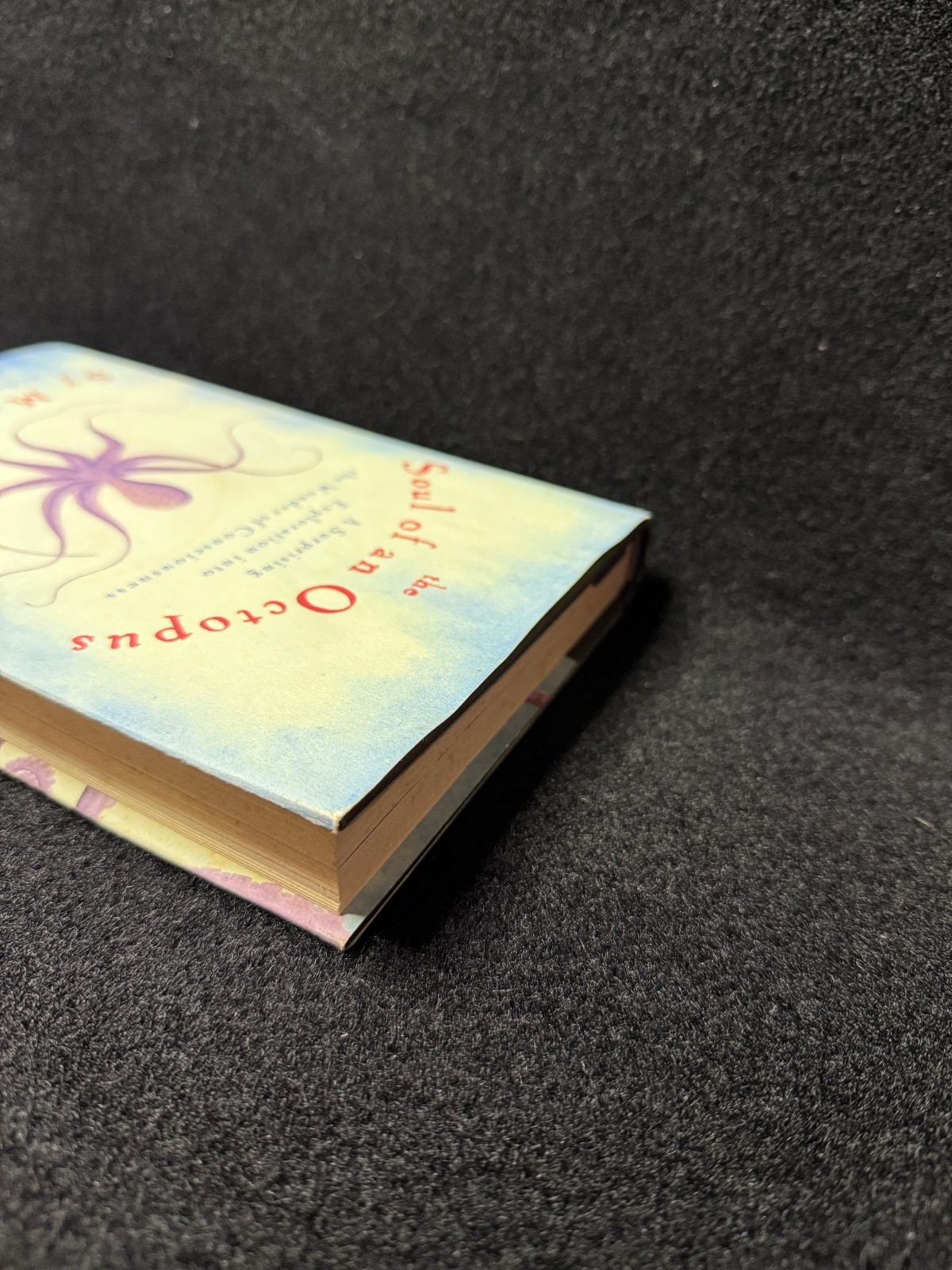 Soul of an Octopus : A Surprising Exploration into the Wonder of…