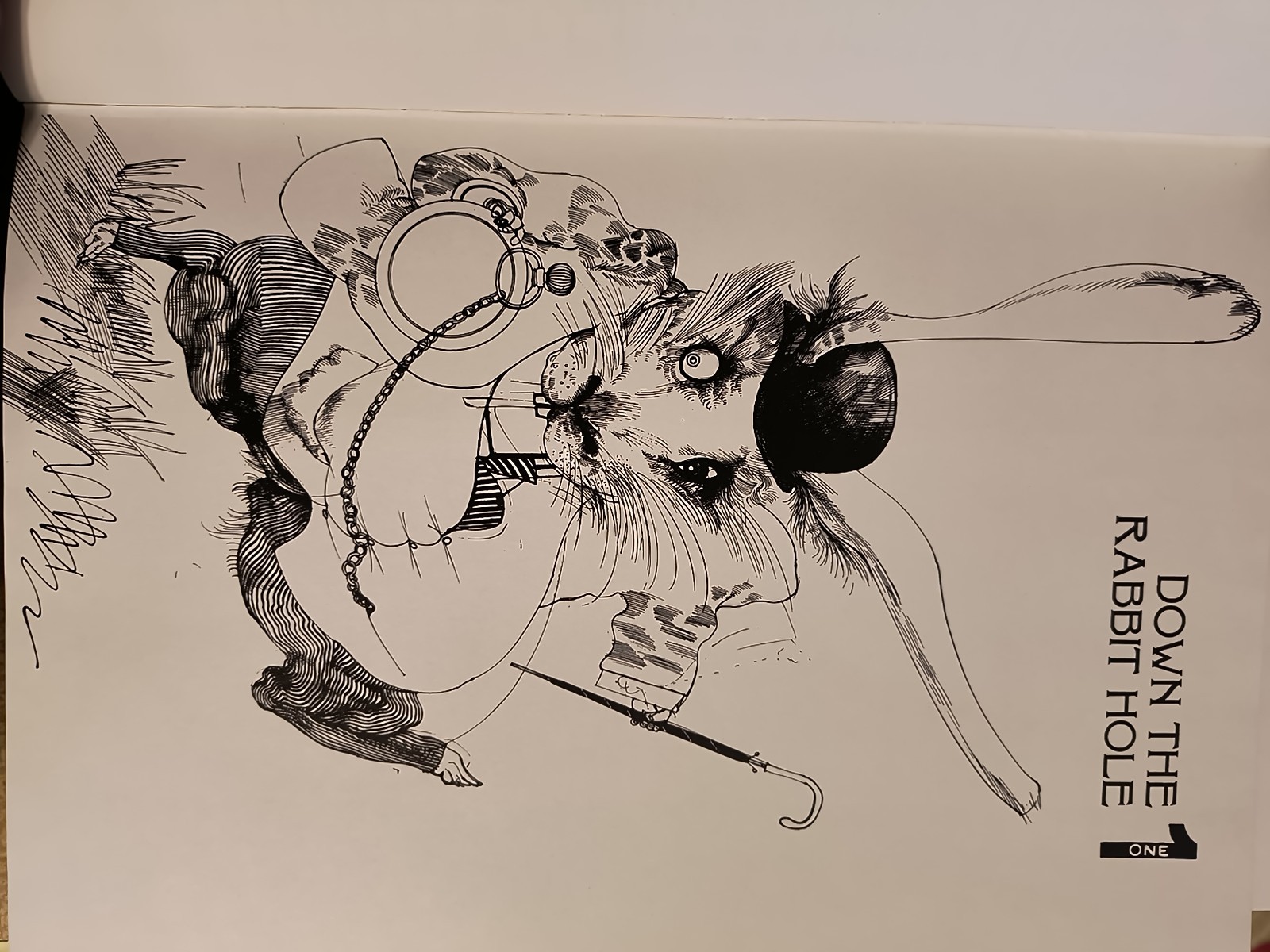 Alice In Wonderland By Lewis Carroll & Ralph Steadman *Ex Libris see description