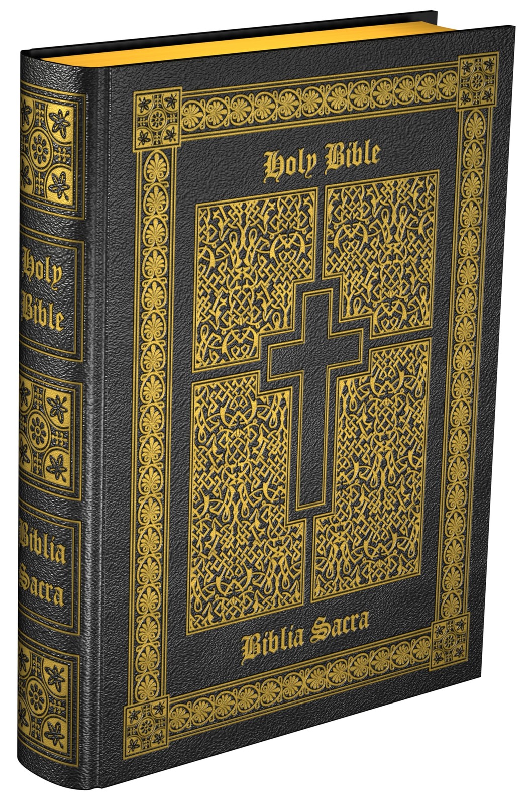 Douay-Rheims And Clementina Vulgata by Roman Catholic Church