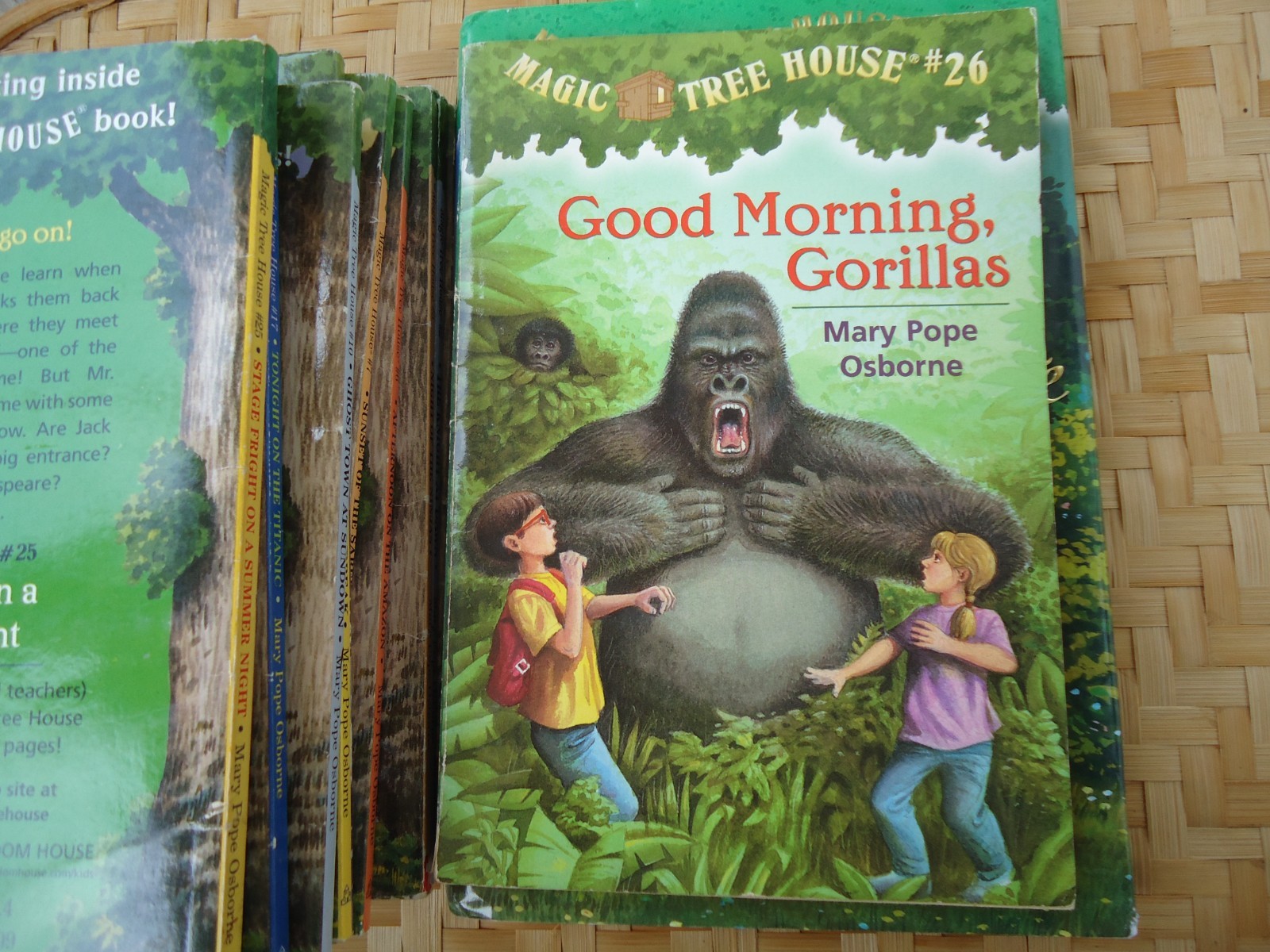 Magic Tree House Lot 11 Books Mostly PB No Repeats Childrens Historical Fiction
