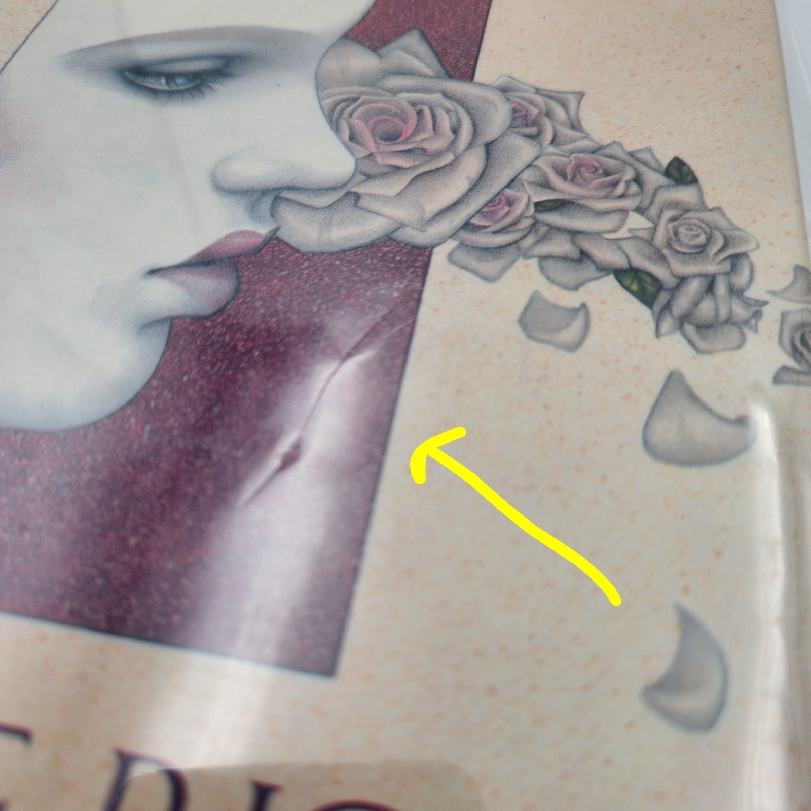 Anne Rice Prince Lestat and the Realms of Atlantis Blood Communion Belinda