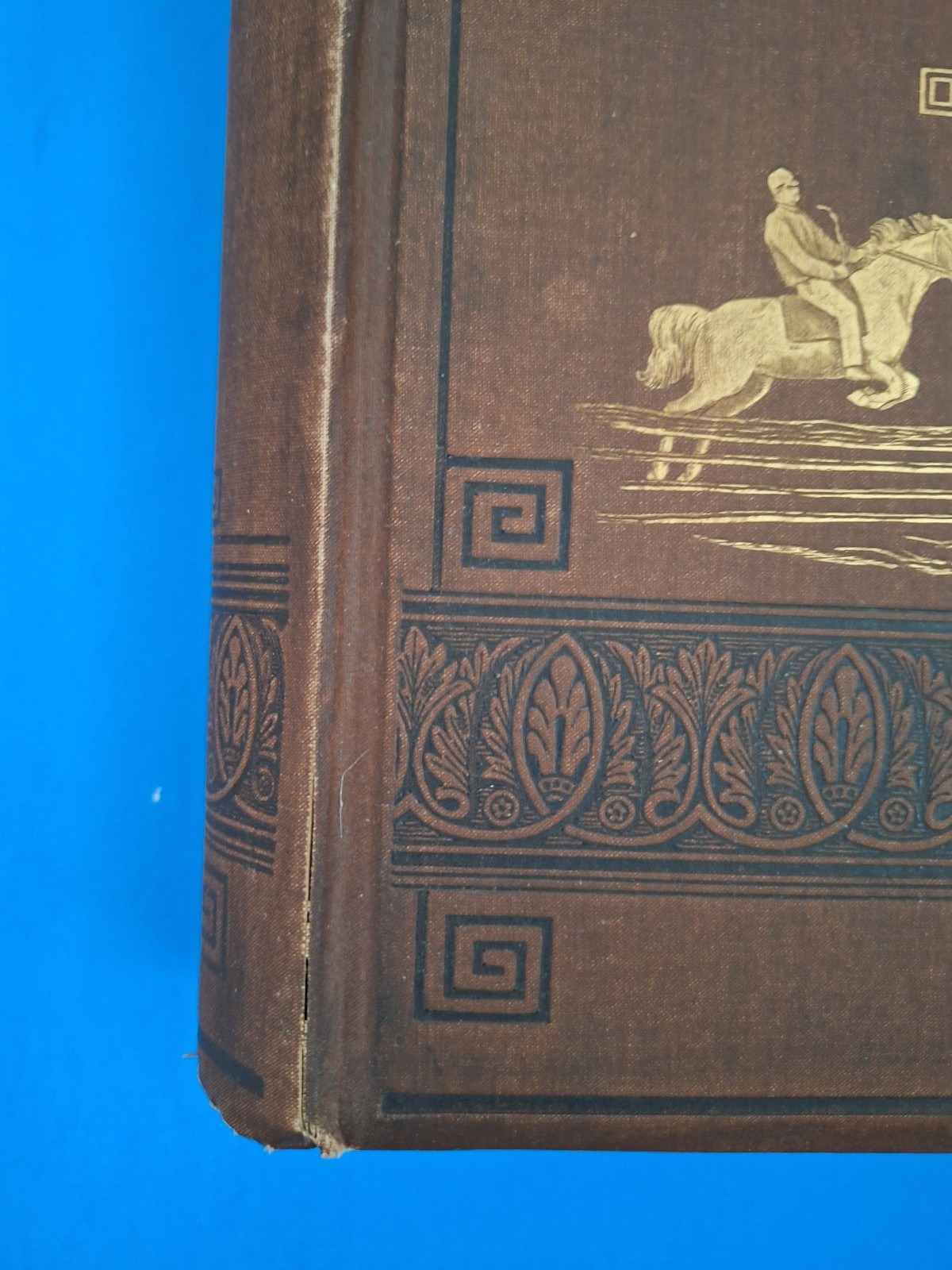 RARE c 1882 THE HORSE IN MOTION by J.D.B. Stillman Photos By Eadweard Muybridge