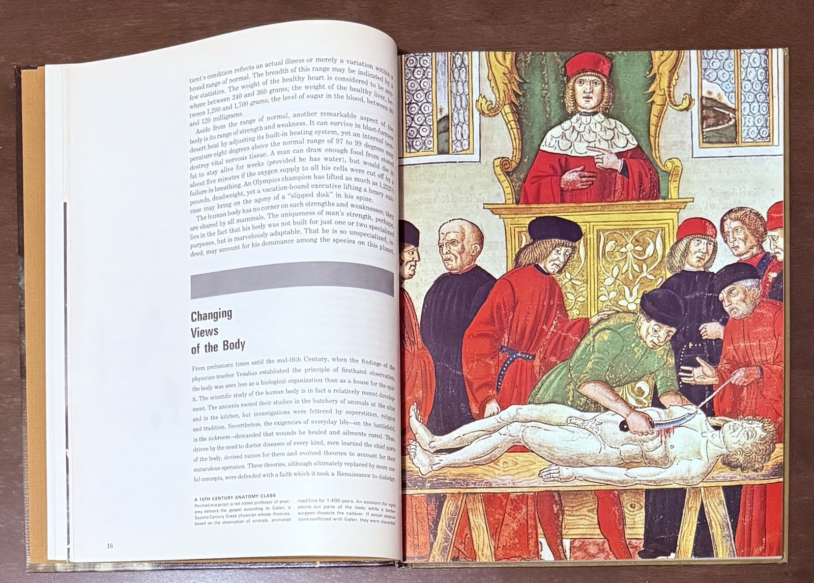 The Body by Alan E. Nourse, Time Life Science Library. Entertaining To Read Look