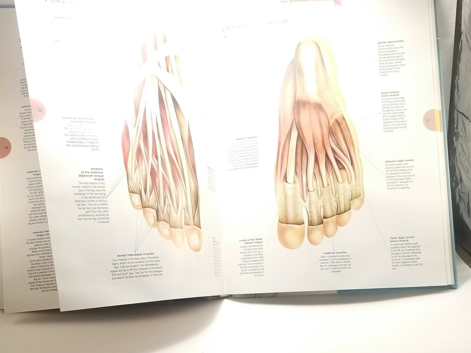 Atlas of the Human Body by Vigue Martin (2011, Hardcover) 164 Pages USA Seller