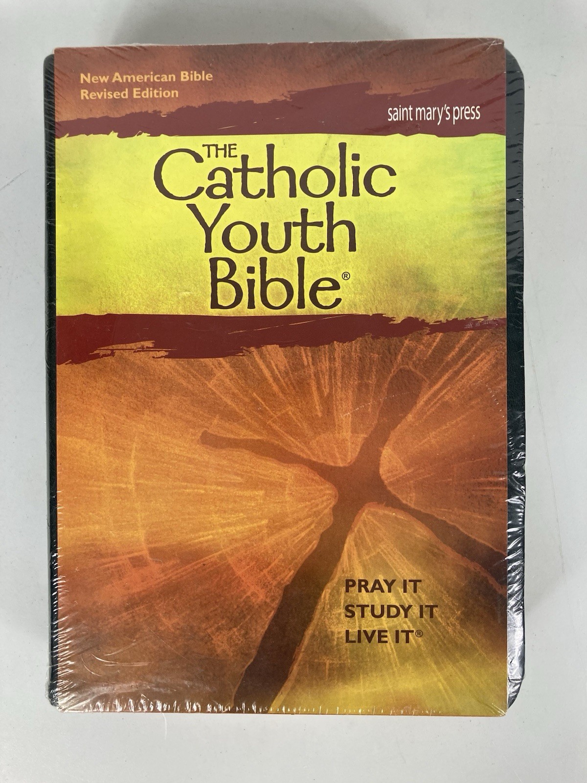 The Catholic Youth Bible Saint Mary’s Press New American Bible Revised Edition
