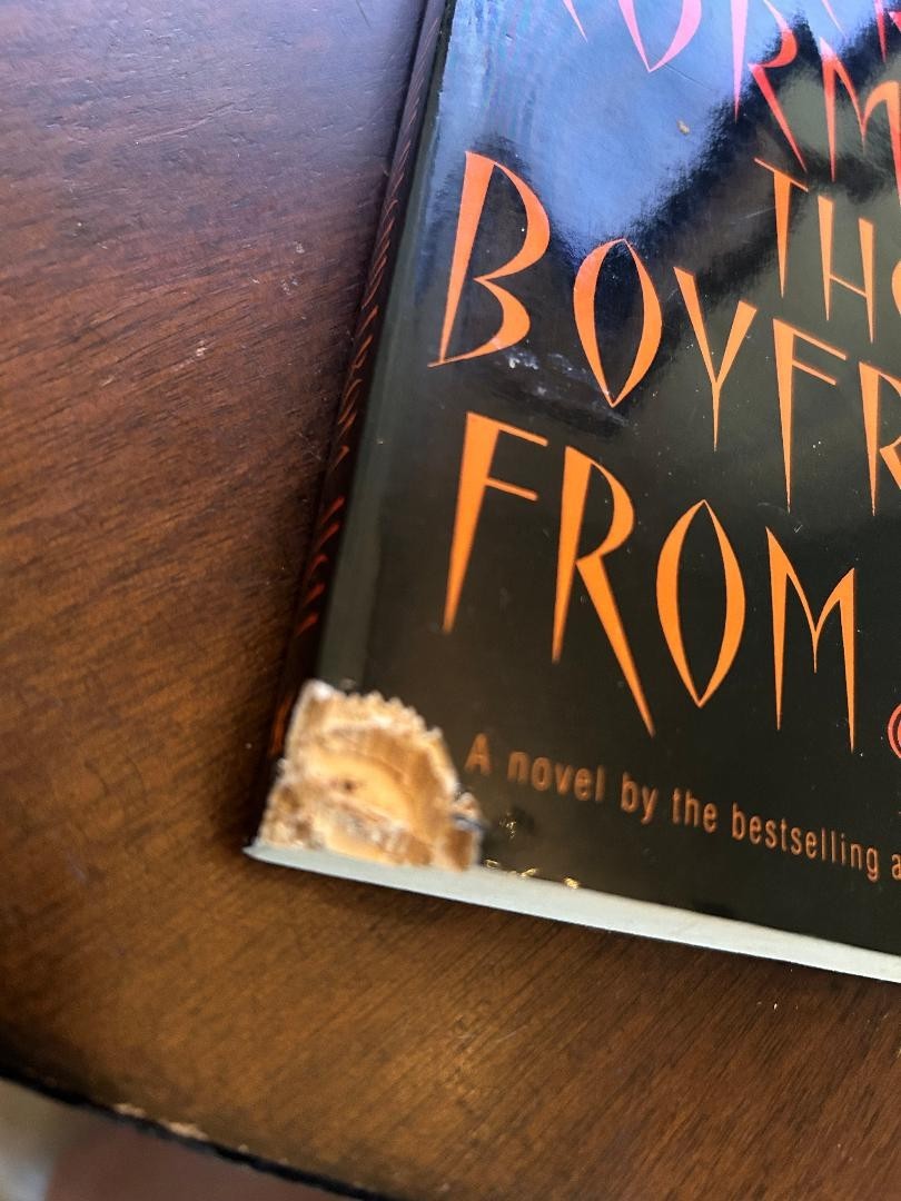 The Boyfriend From Hell by Avery Corman 8.25″ Paperback