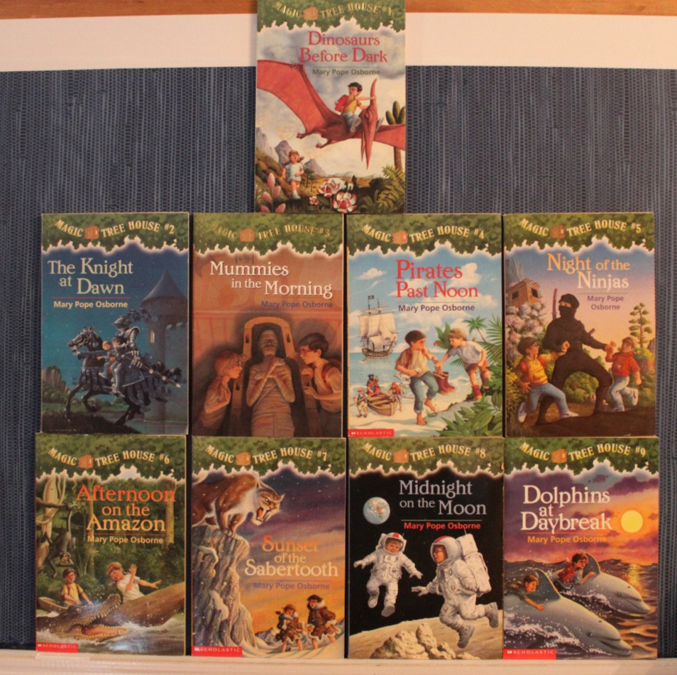 Magic Tree House Series 1-13 & 16-28 Chapter Book Lot Homeschool Teach Osborne