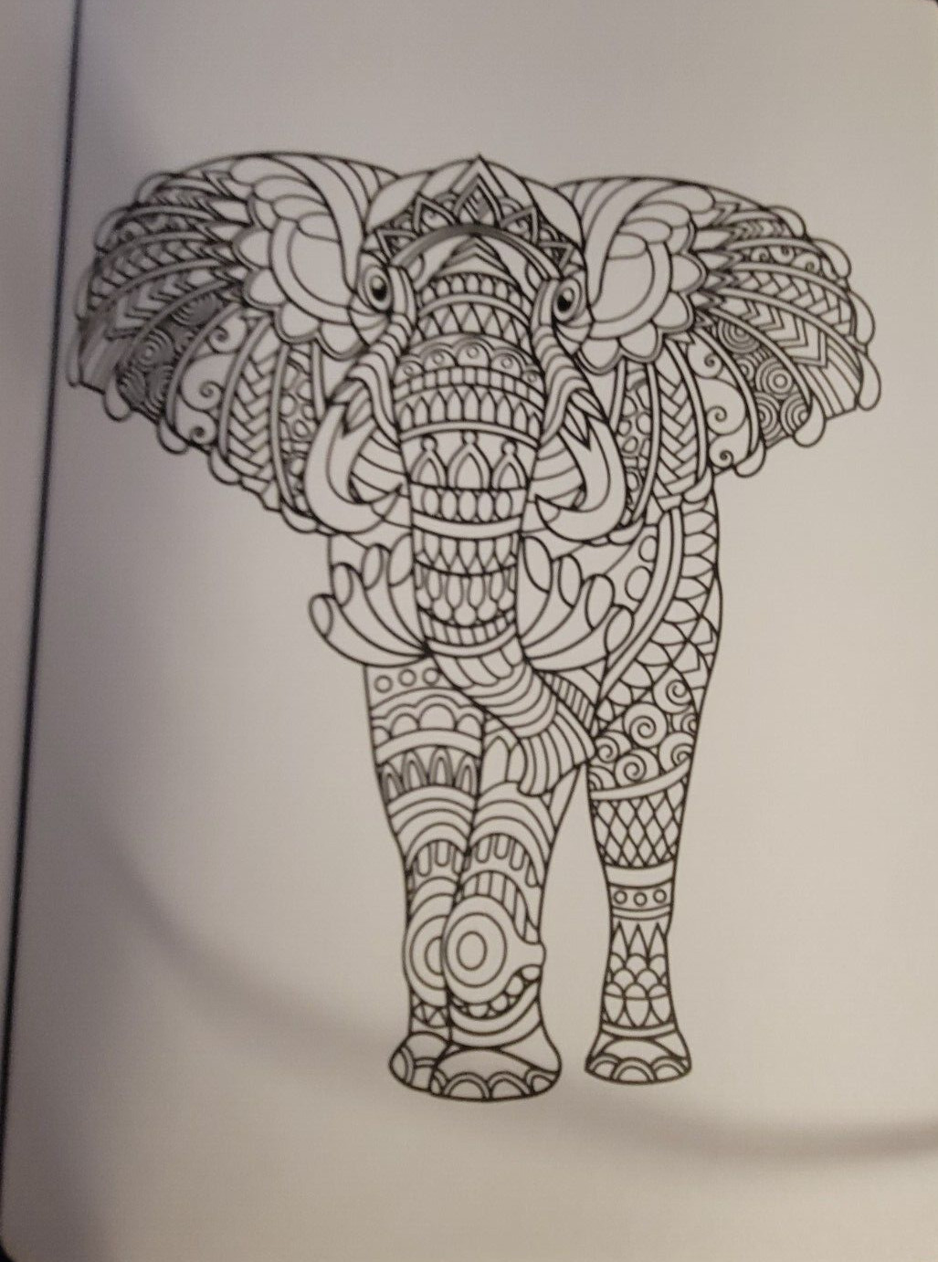 MAJESTIC CREATURES Vol 16 Adult Coloring Book With 47 Prints Ready To Frame