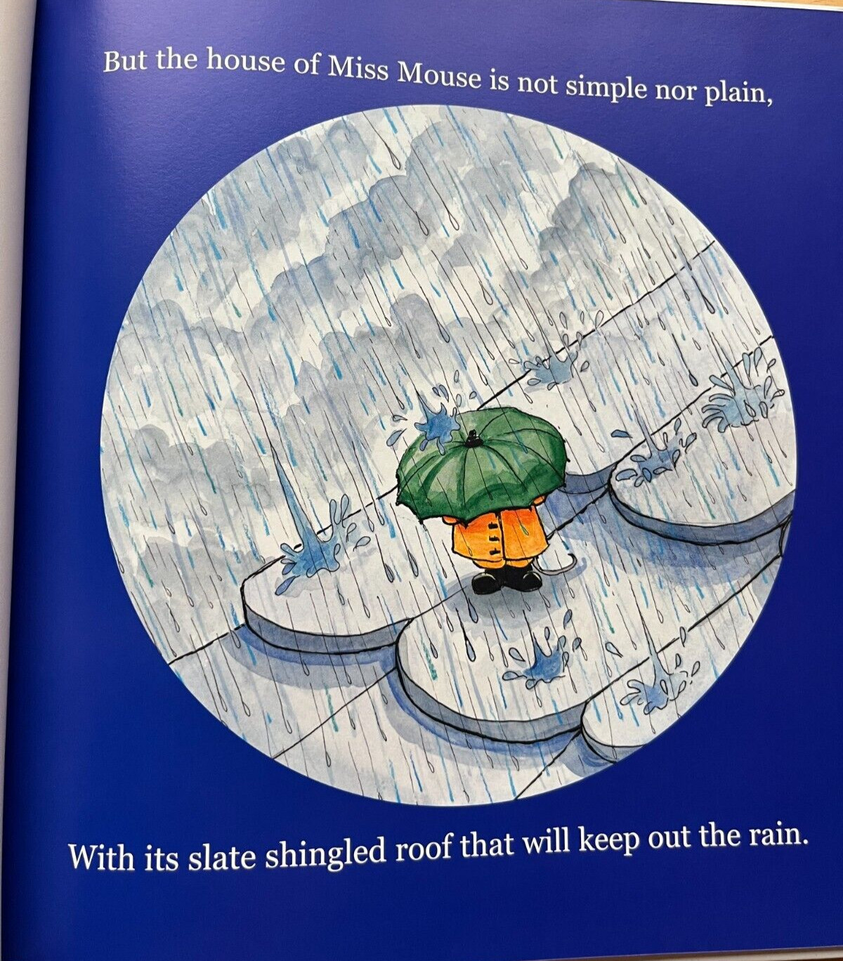 Miss Mouse’s House by David Fleming (Hardcover)