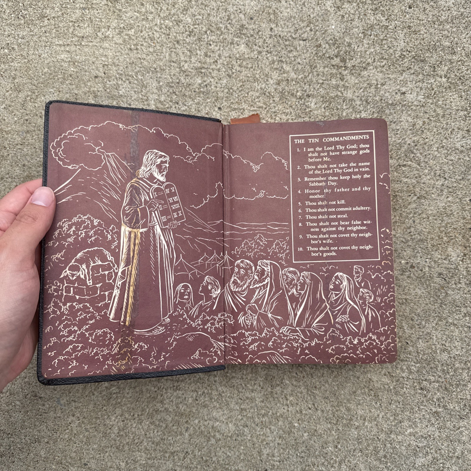 Holy Bible New Catholic Edition Douay 1957 by Catholic Book Publishing