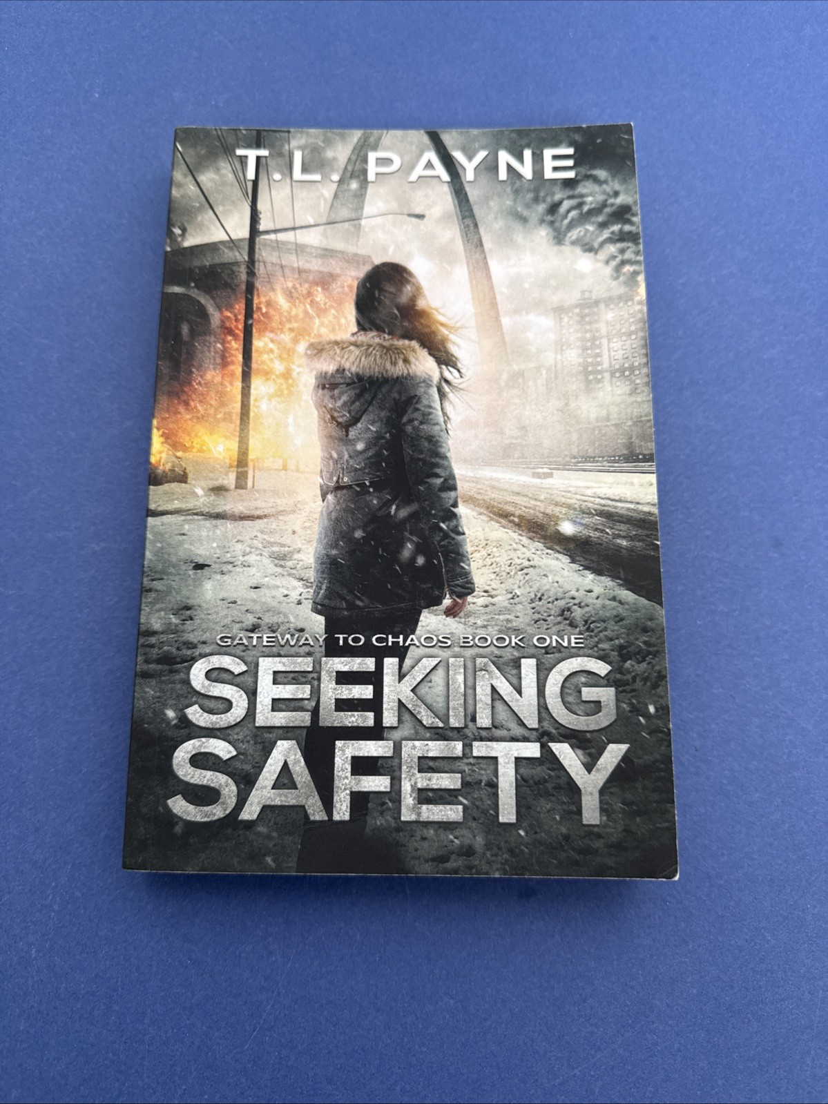 Lot of 4 ~ Trade PB Books ~ T. L. Payne ~ Complete GATEWAY TO CHAOS Series
