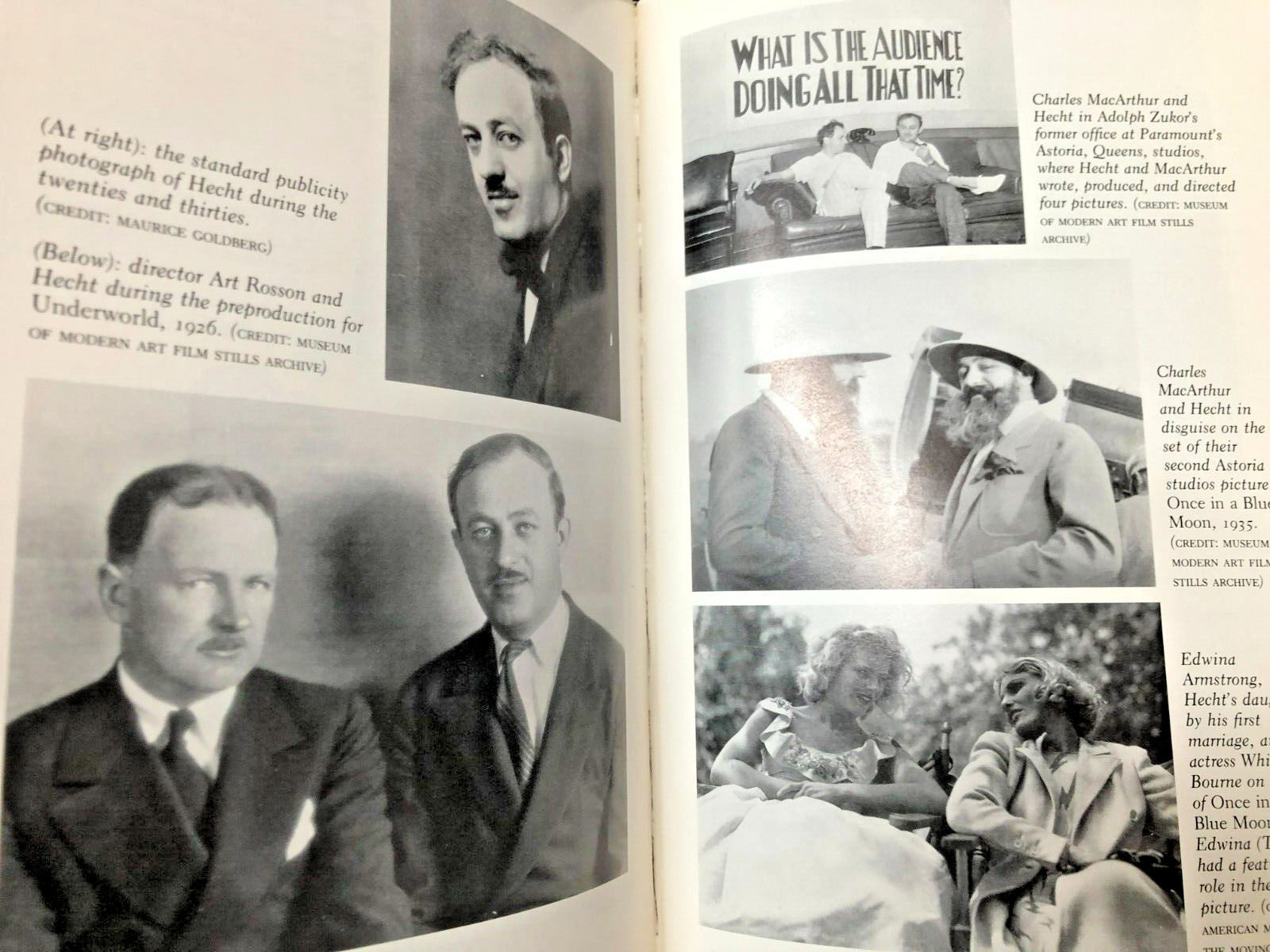 Ben Hecht: A Biography, The Man Behind The Legend by William MacAdams (1990)