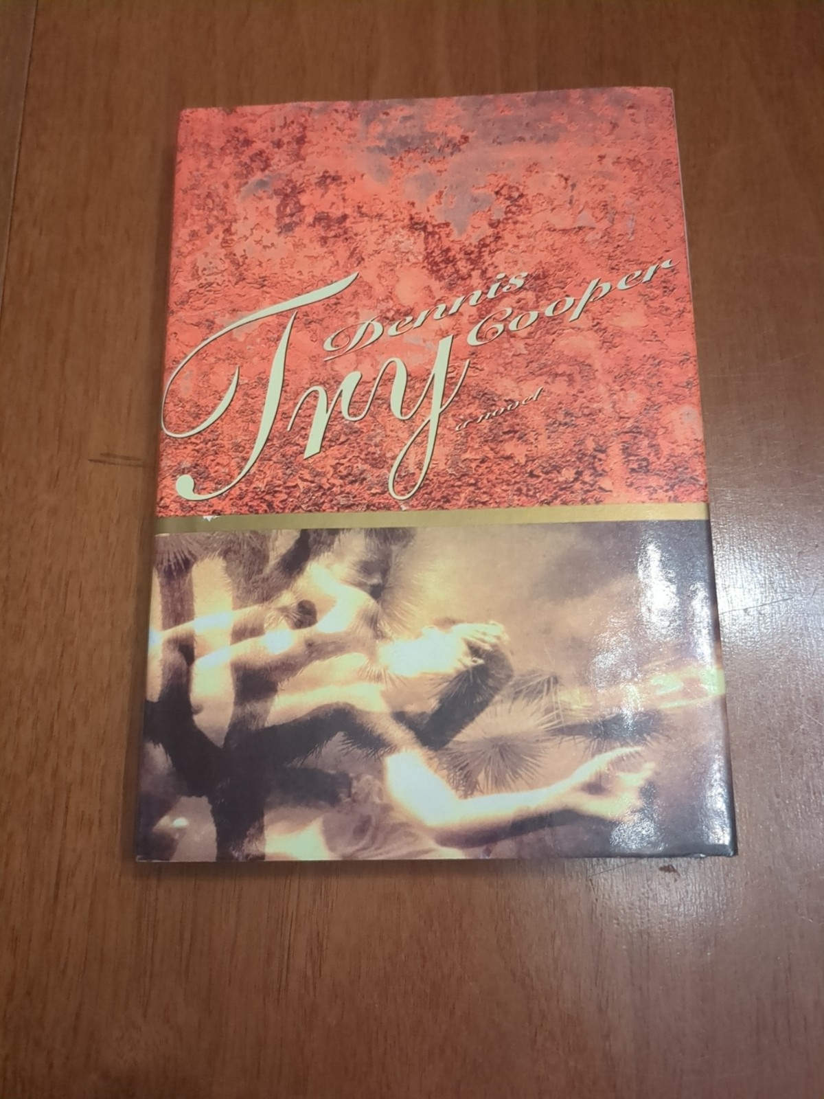 Try by Dennis Cooper (1994, Hardcover) – First Edition