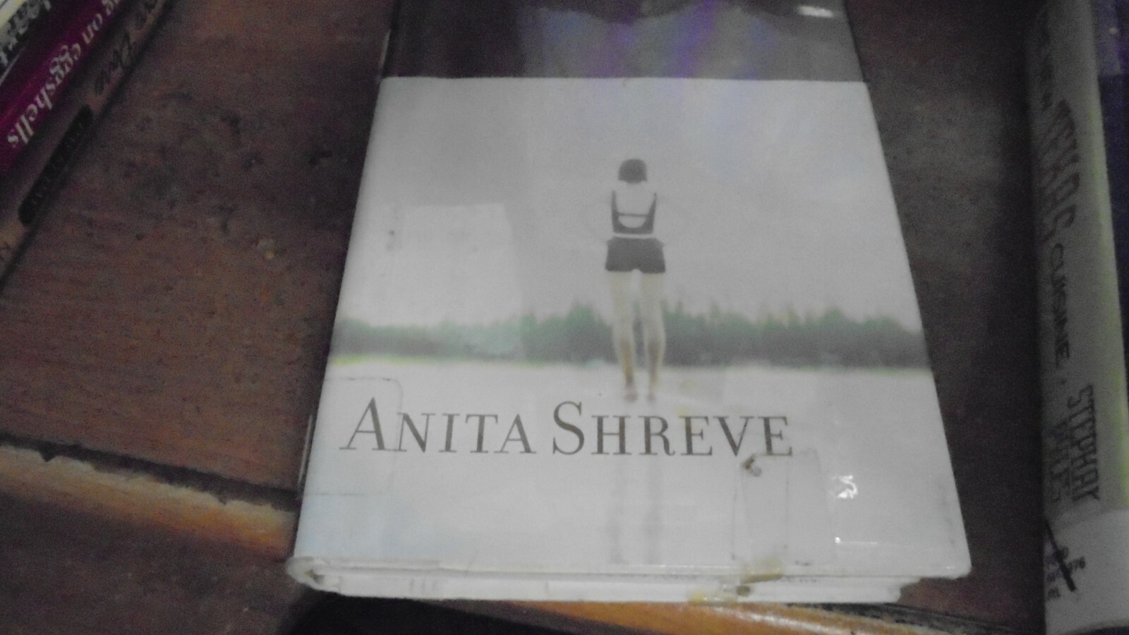 Sea Glass by Anita Shreve 2002 hardcover