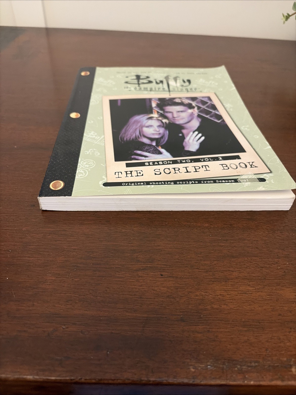 Buffy the Vampire Slayer: The Script Book, Season Two, Volume 3