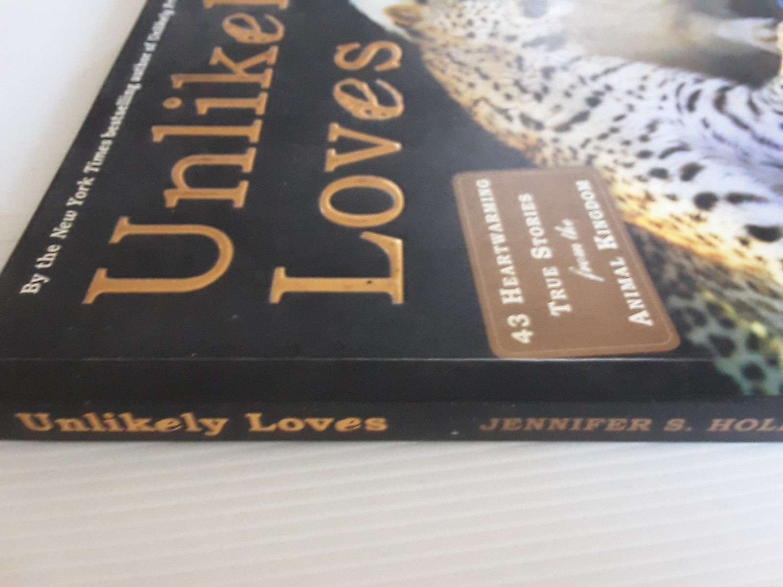 Unlikely Loves By Jennifer S. Holland 43 Heartwarming True Stories Animals Pets