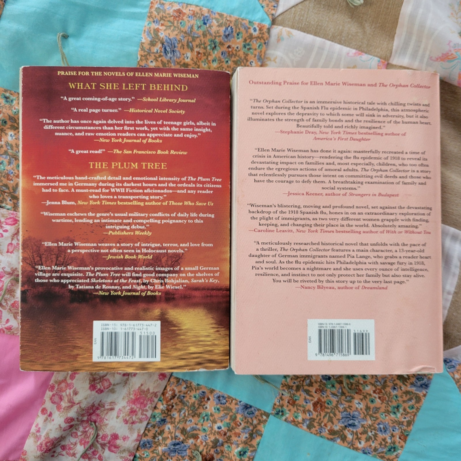 Coal River & The Orphan Collector by Ellen Marie Wiseman