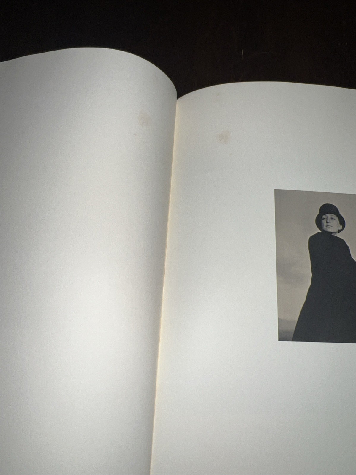 Georgia O’Keeffe : A Portrait by Alfred Stieglitz 1st EDITION – Read Description