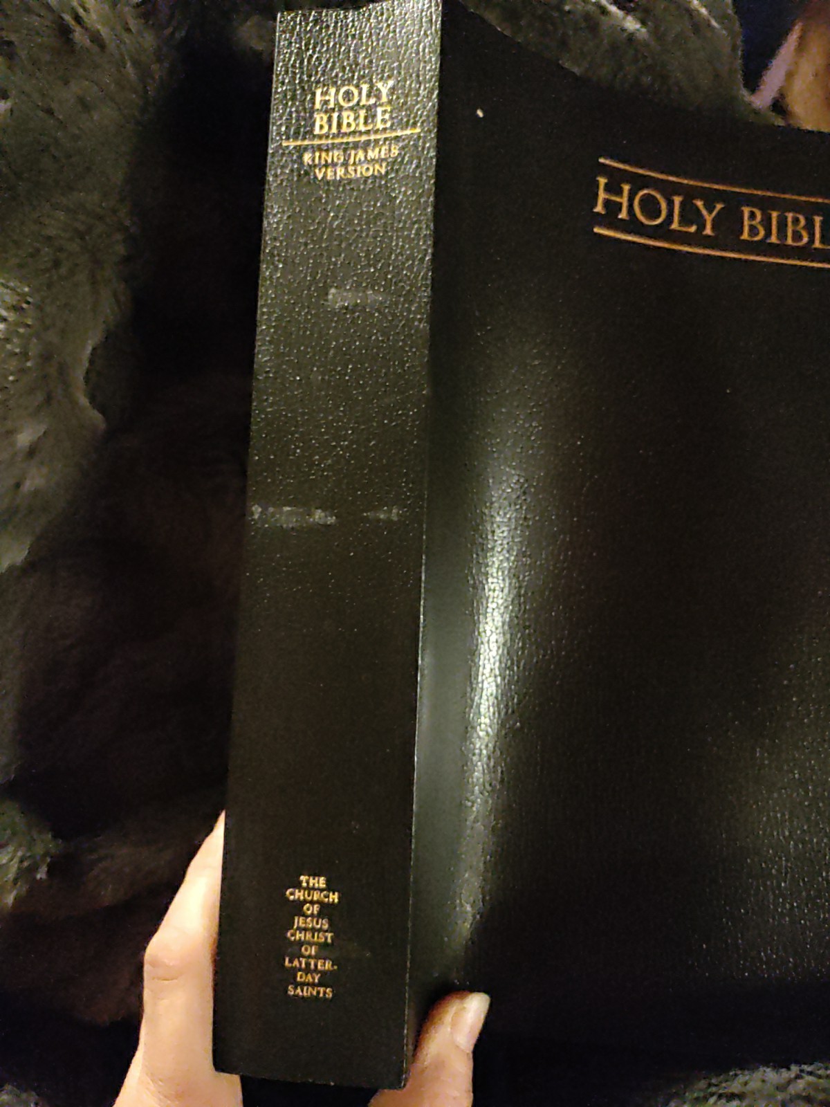 Simulated Leather LDS Holy Bible King James Version KJV LARGE PRINT 2013 Edition