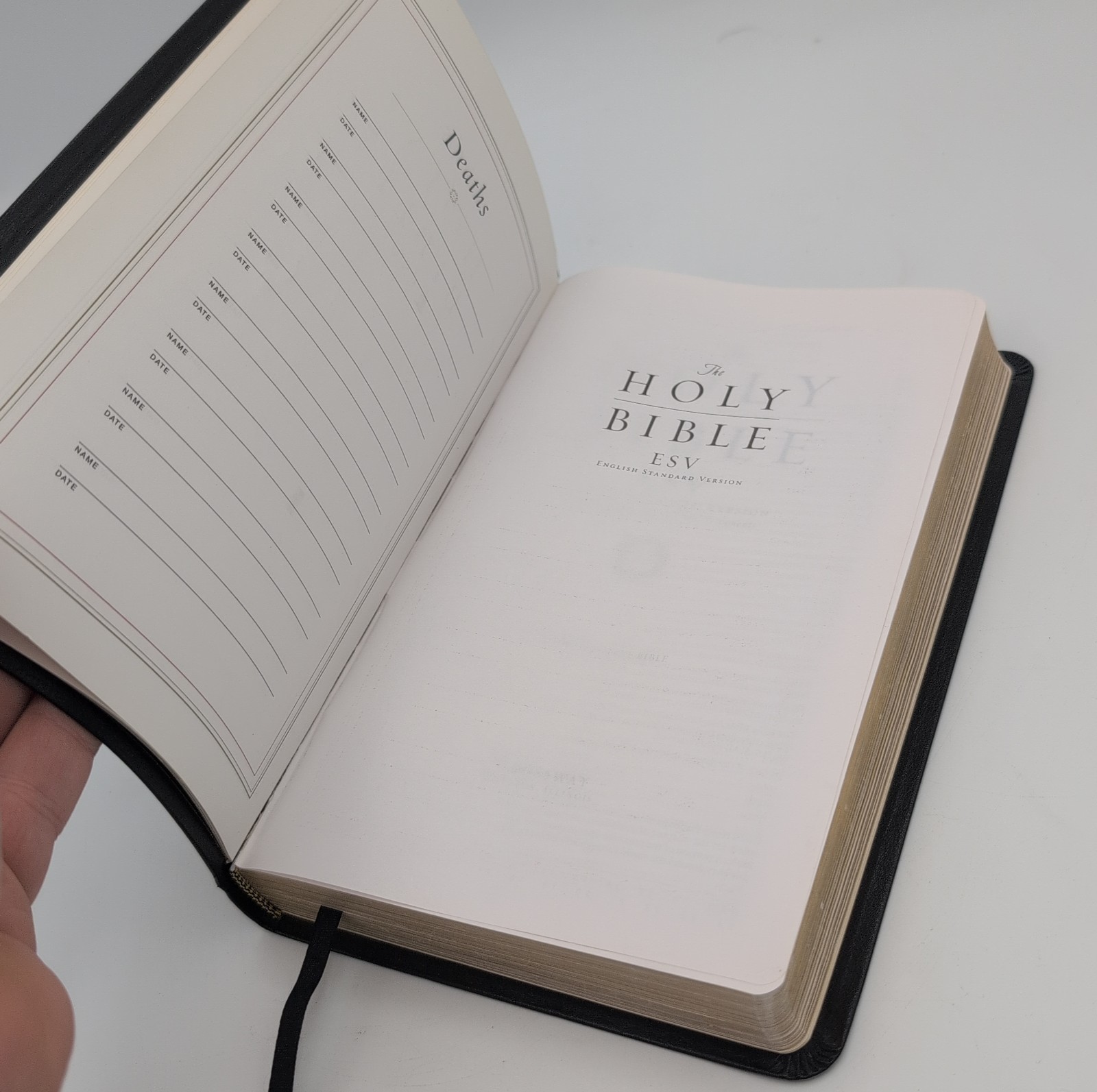 ESV Thinline Bible, Red Letter – Bonded Leather. (B)