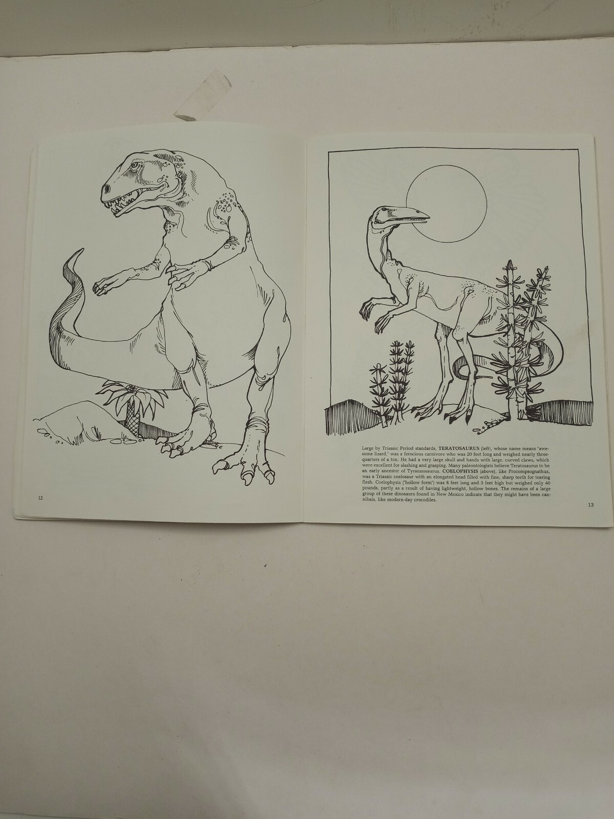 Vintage The Dinosaur Coloring Book by Anthony Rao Dover Publishing 46 Pgs 1980.