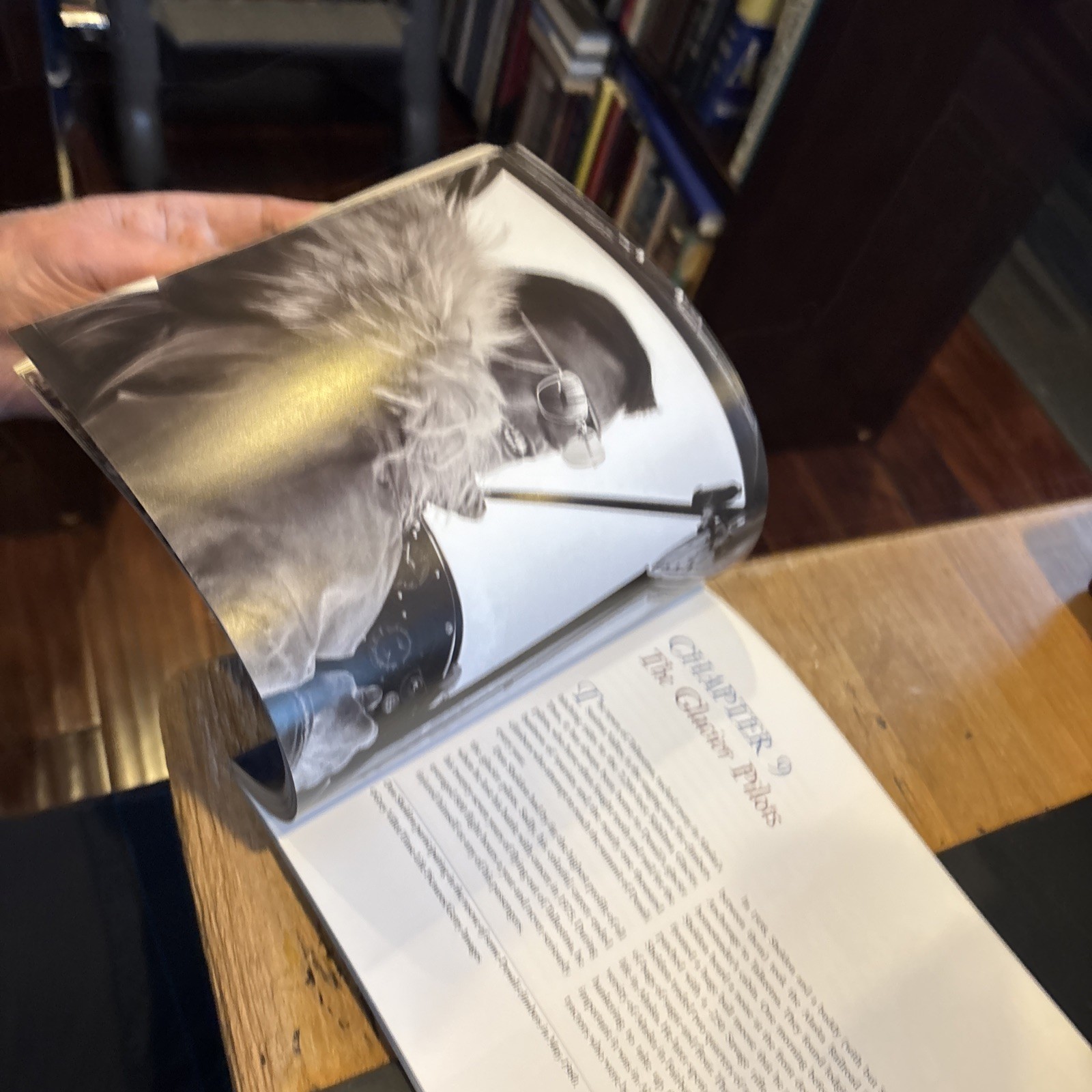 WINGS OVER DENALI : PHOTO HISTORY DENALI Signed Bruce McAllister 2004 pb 1st