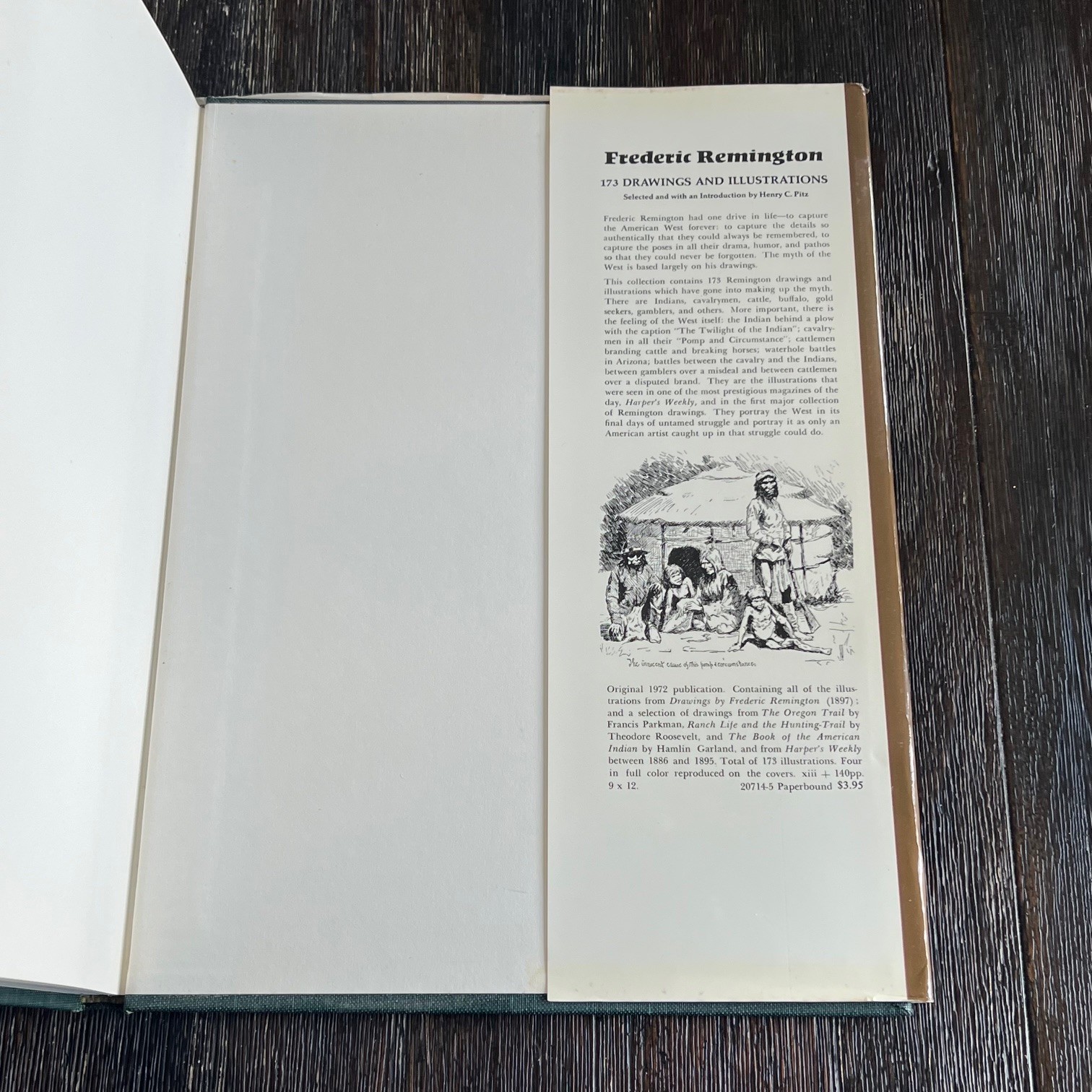 Thomas Nast: Cartoons and Illustrations 117 Works Dover 1974 VTG Hardcover Book