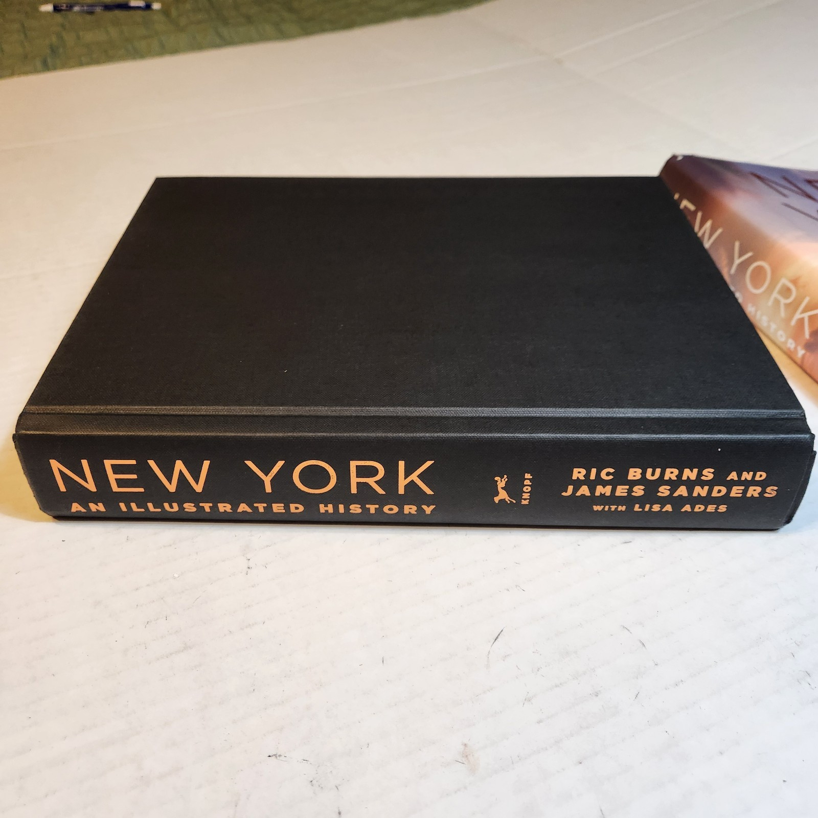 New York: An Illustrated History Hardcover
