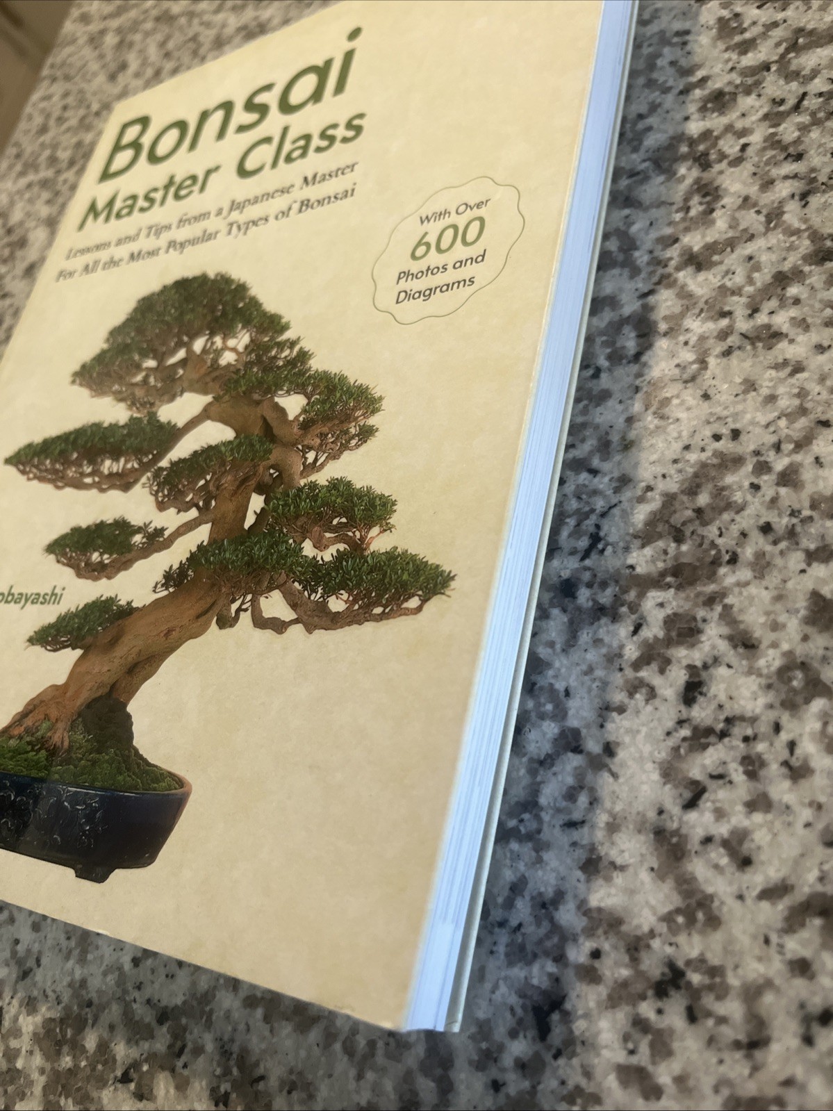 Bonsai Master Class: Lessons and Tips from a Japanese Master (with Over 600