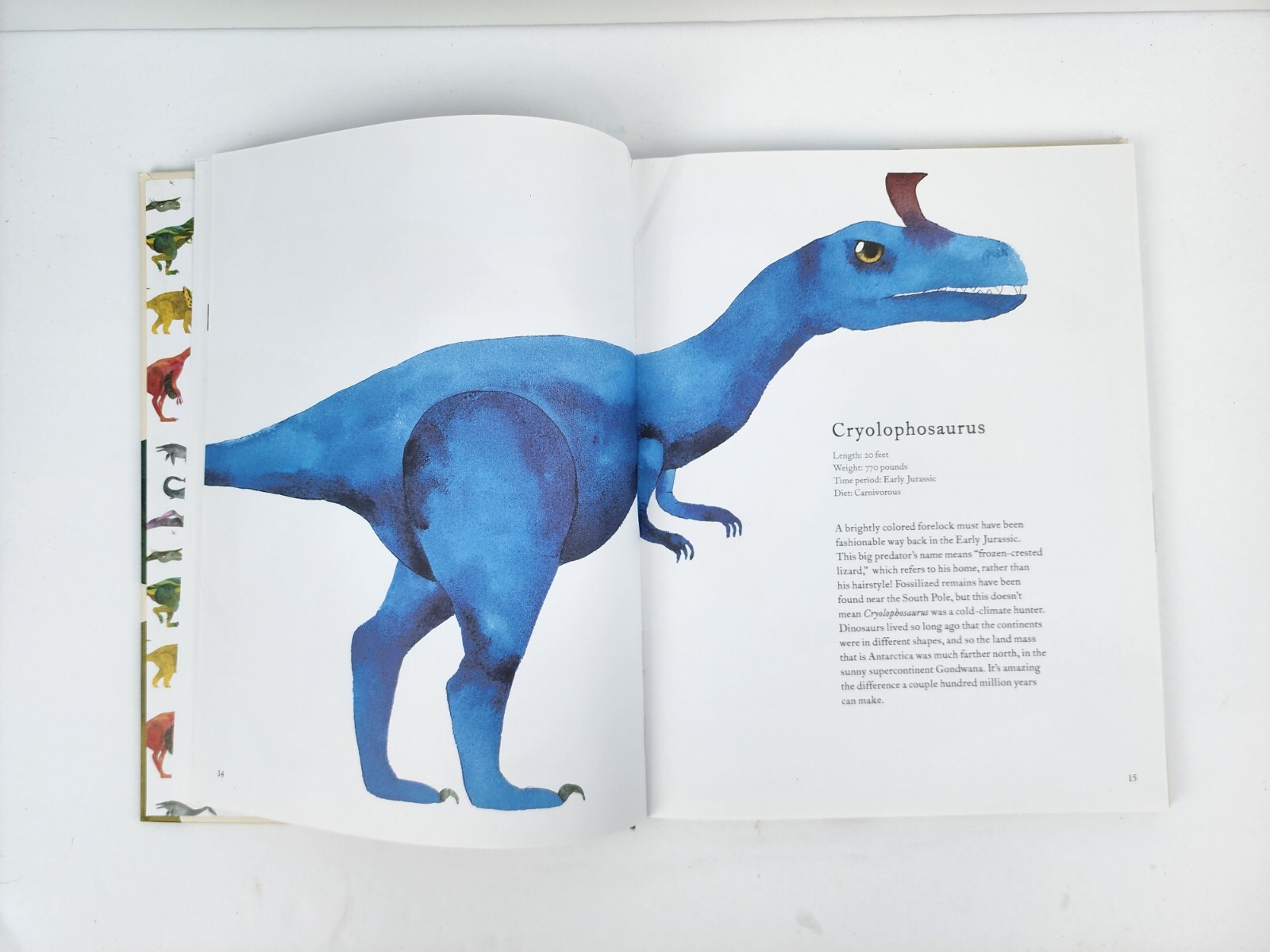Dinosaurs: and Other Prehistoric Creatures by Sewell, Matt Book 2017 Free Ship