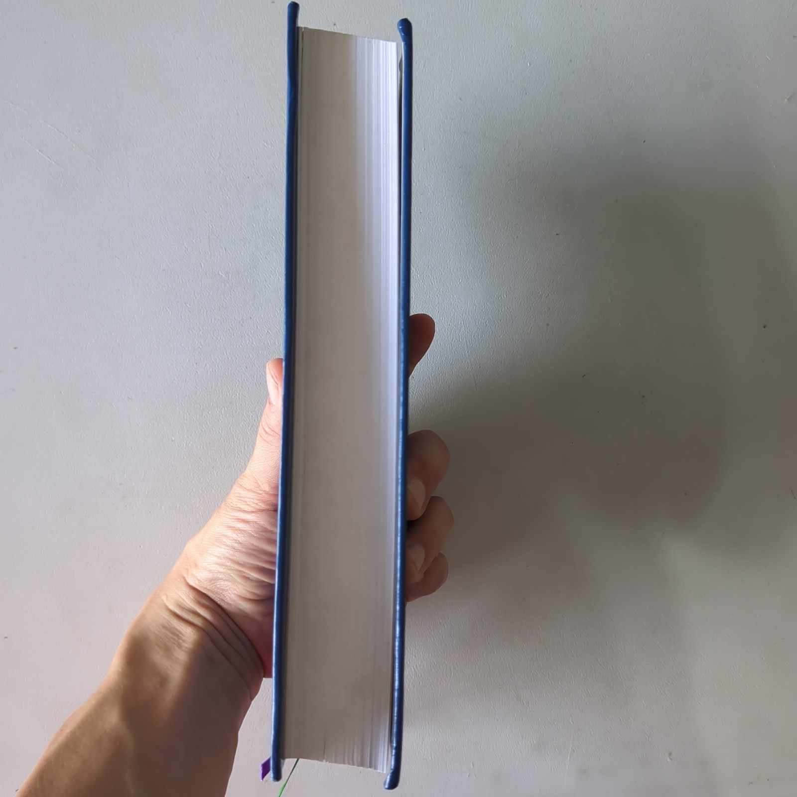 Christian Warfare 2009 Deluxe Edition Hardcover AMDG