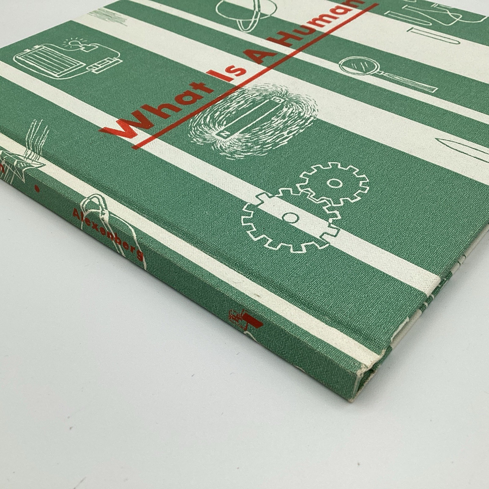 WHAT IS A HUMAN, (what is series) 1964 Benefic Press, by Melvin Alexenberg