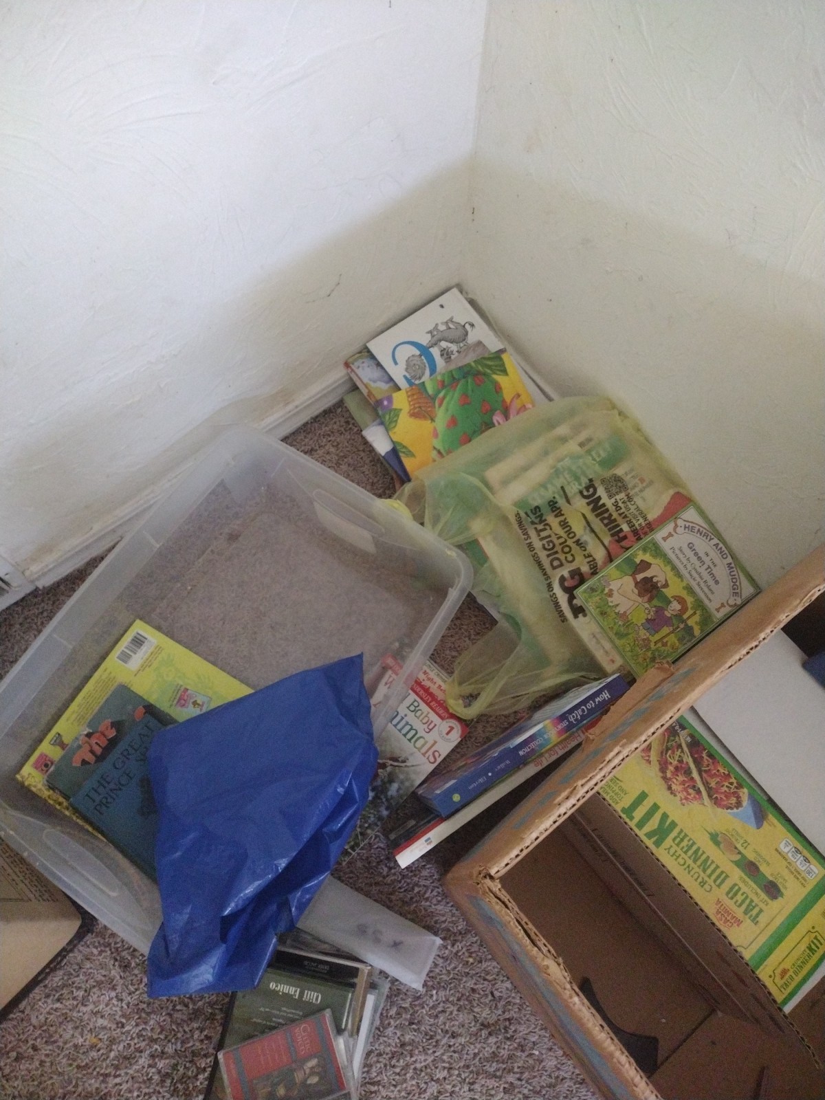 Bulk/Huge Lot of 50 Children’s Kids Chapter Books – Random – Free Shipping!